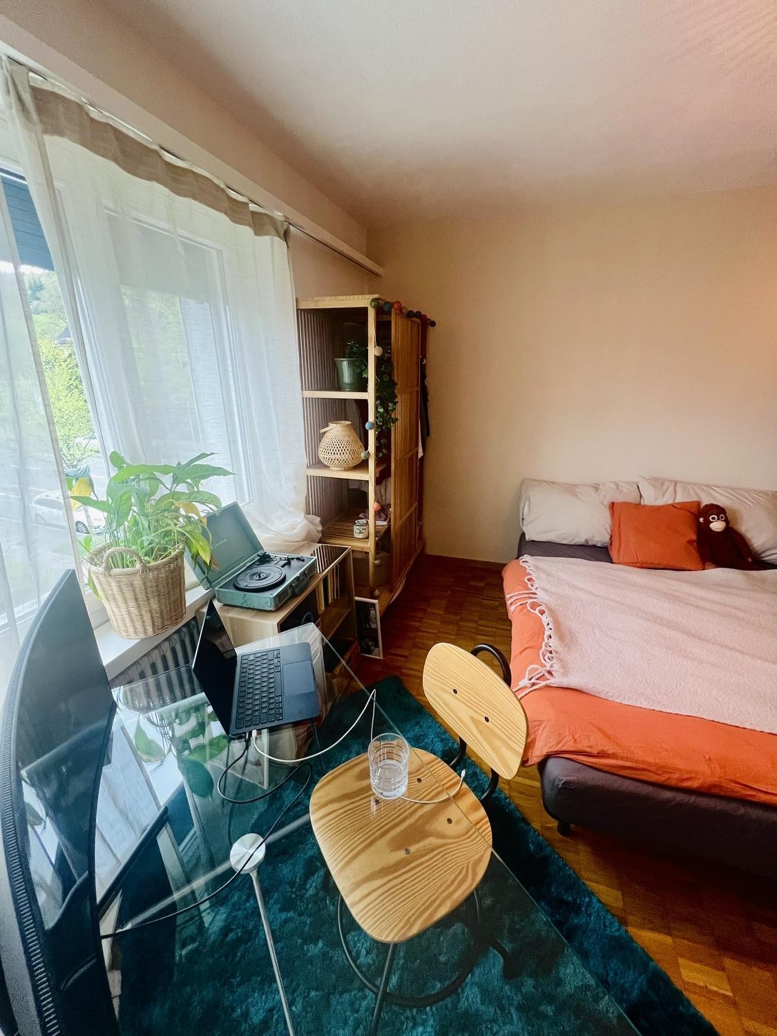 Room in a shared flat