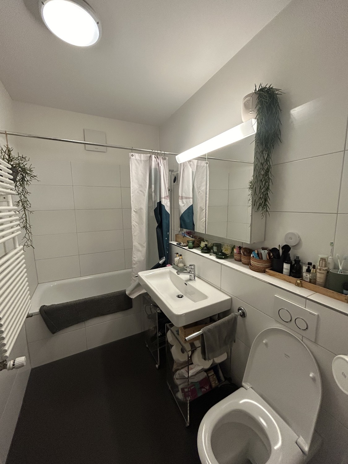 Room in a shared flat