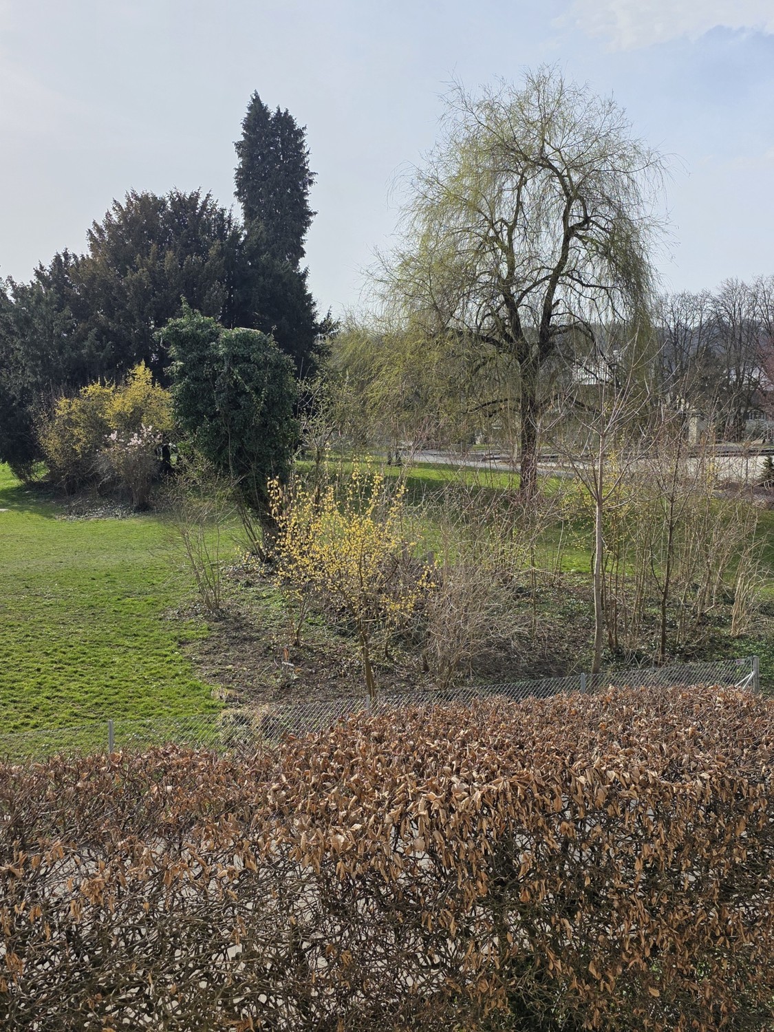 Appartamento di 3 ½ locali
