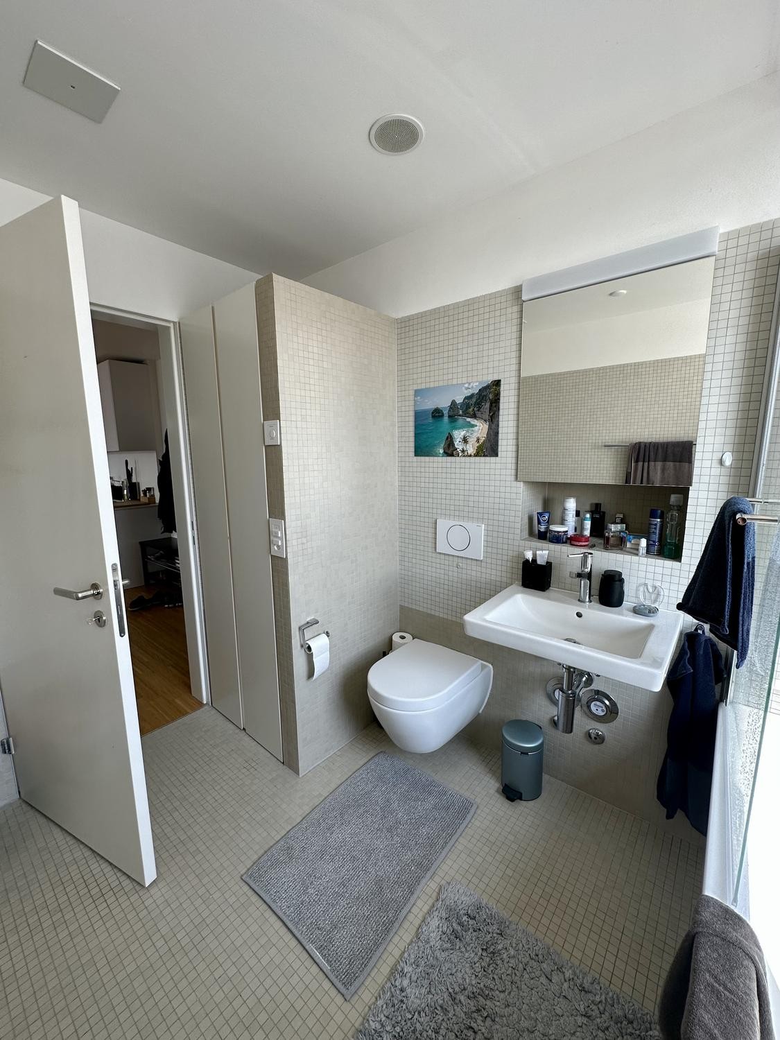2 ½ rooms apartment