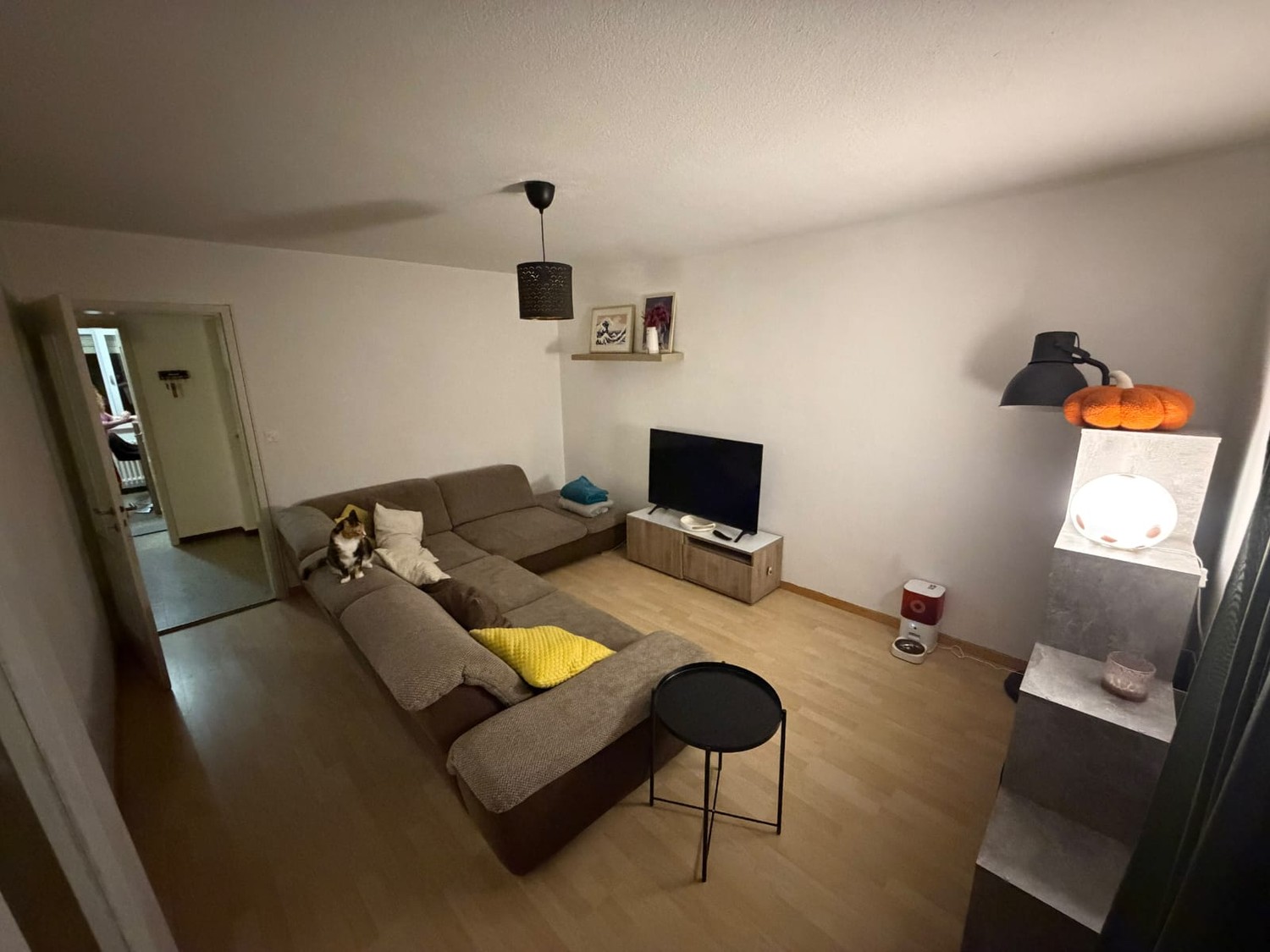 3 ½ rooms apartment, photo 2 of 5