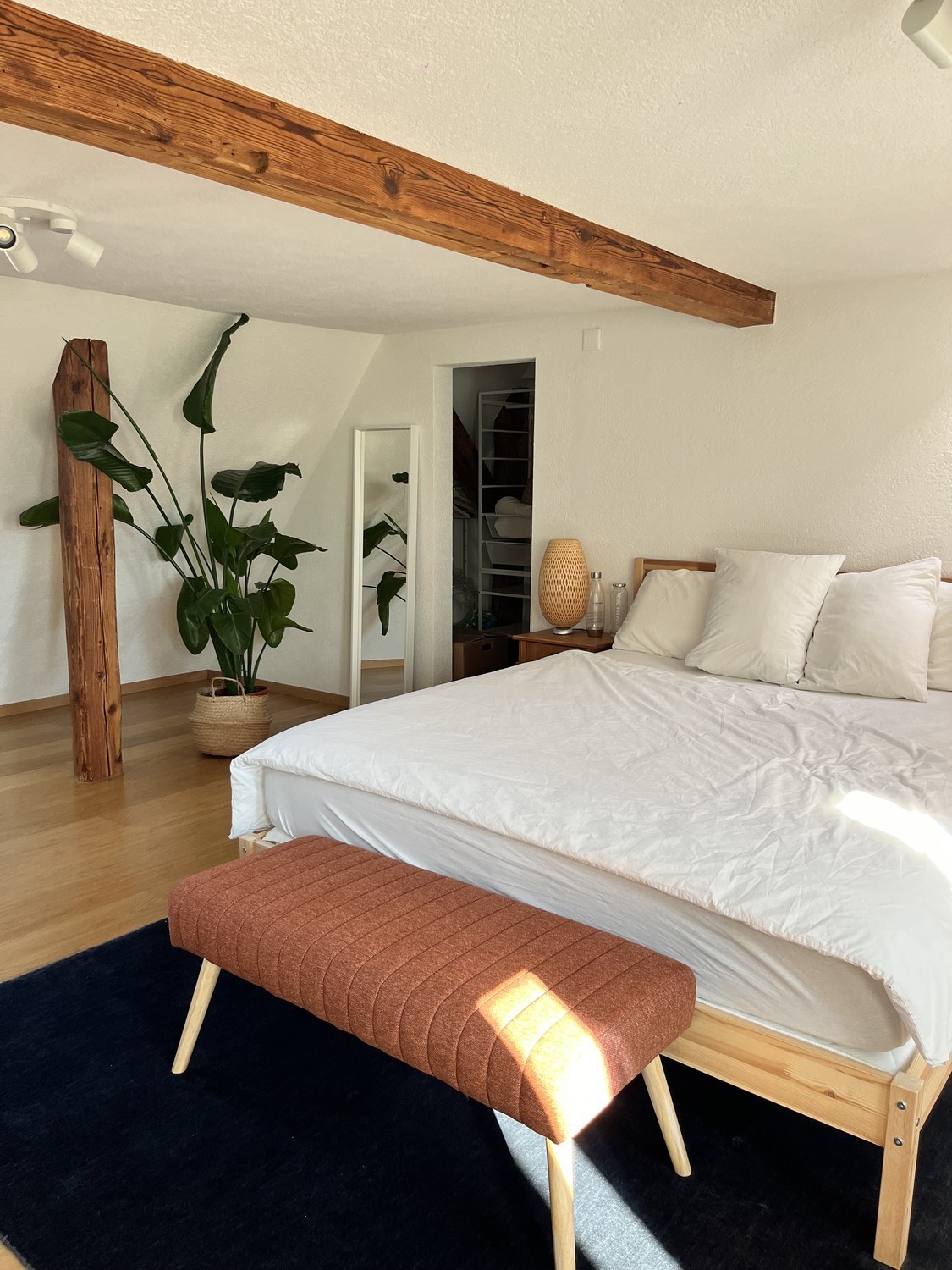 Room in a shared flat
