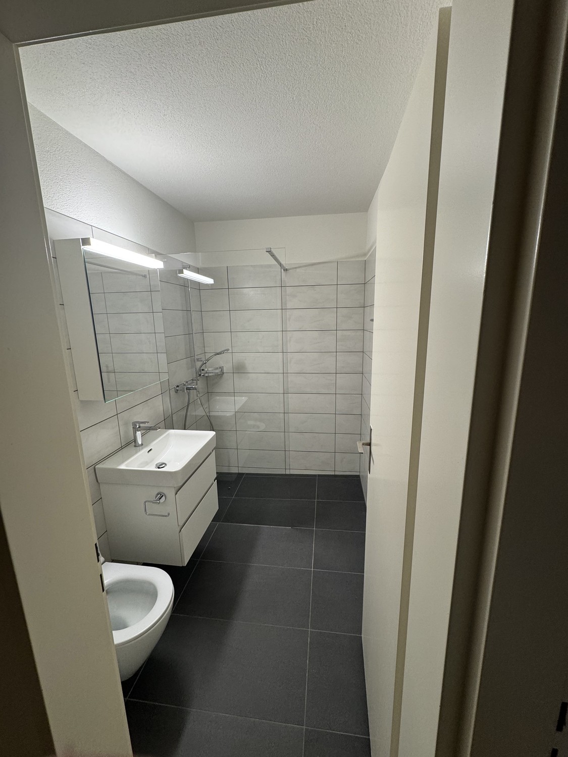 3 ½ rooms apartment, photo 4 of 4