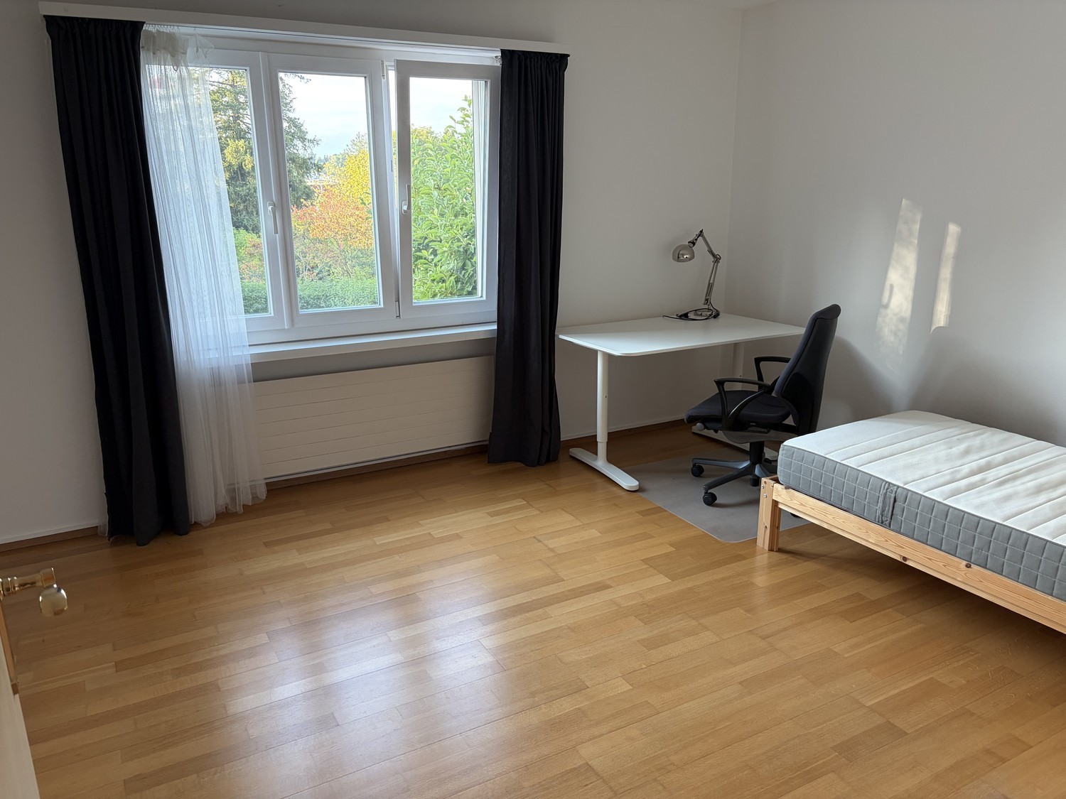Room in a shared flat