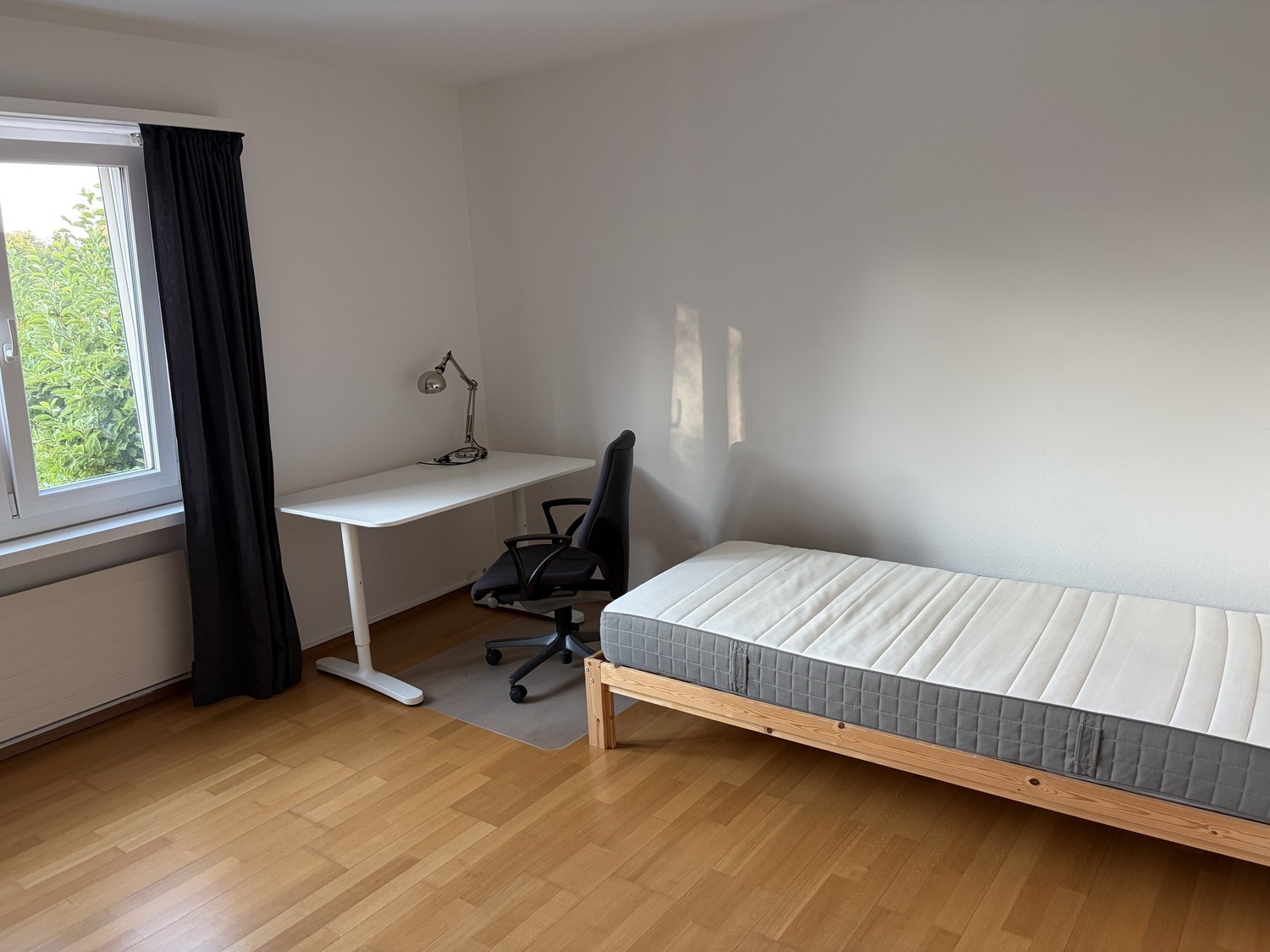 Room in a shared flat
