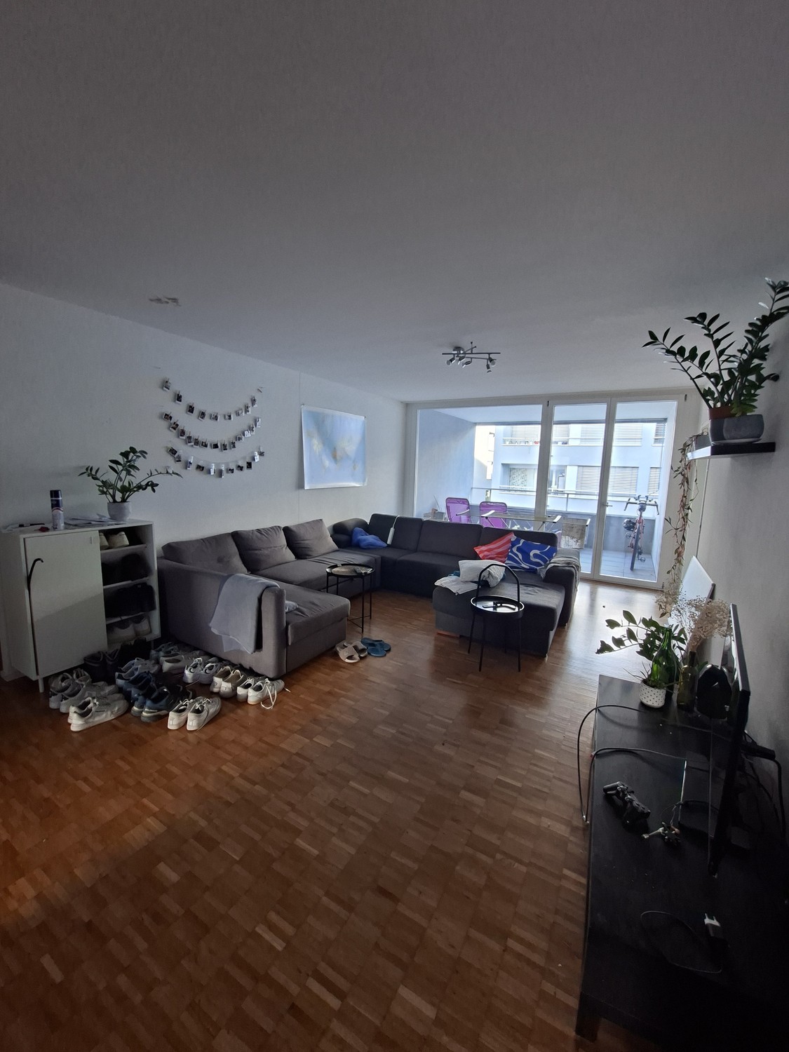 Room in a shared flat