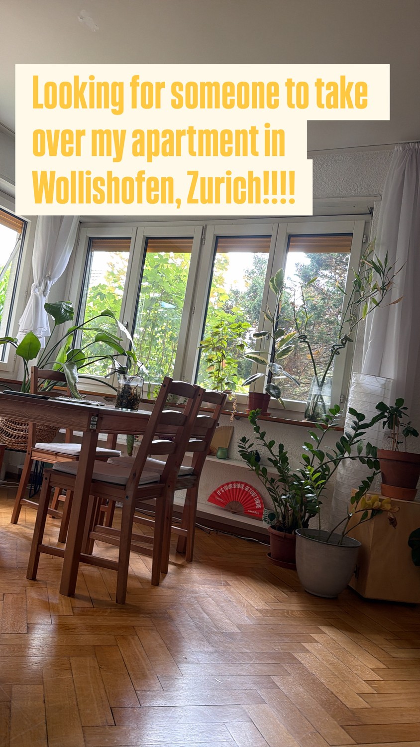 2 ½ rooms apartment