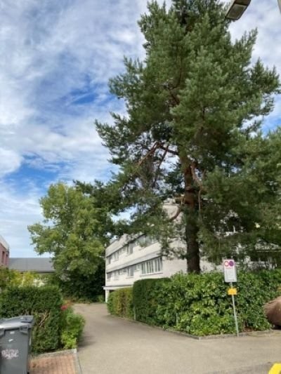 Garage simple","description":"Avez-vous besoin d'une place de stationnement couverte pour votre véhicule ?   
  
Nous pouvons vous louer immédiatement une place de stationnement indépendante pour CHF 140.00/ mtl. La place est adaptée pour un véhicule ou comme espace de stockage (marchandises non inf