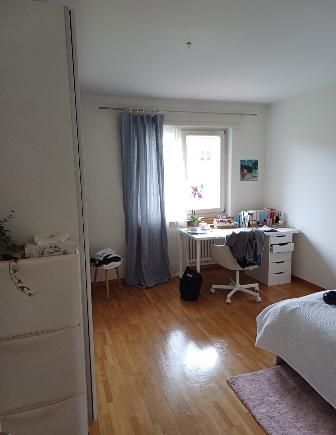 Room in a shared flat