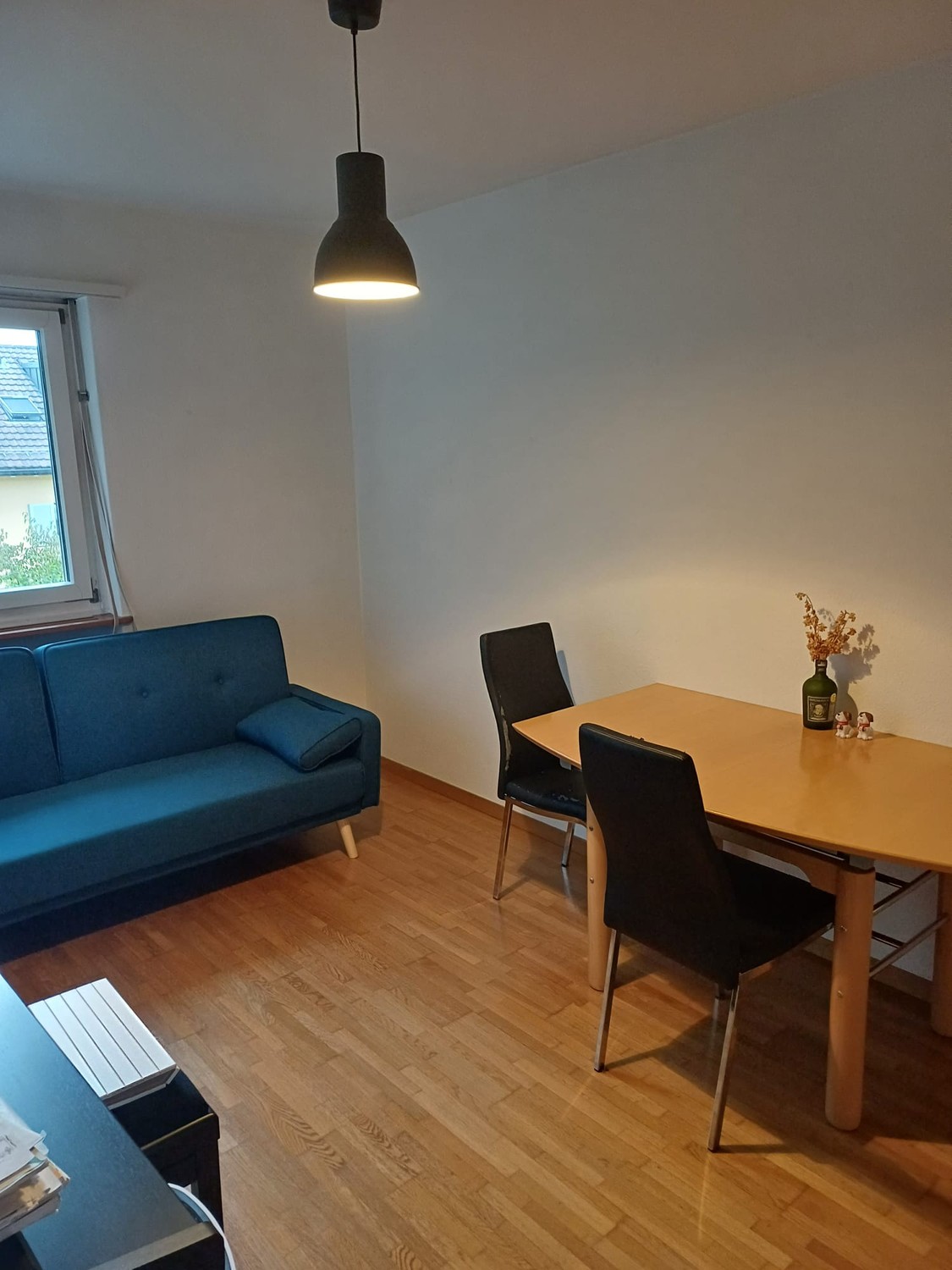 Room in a shared flat
