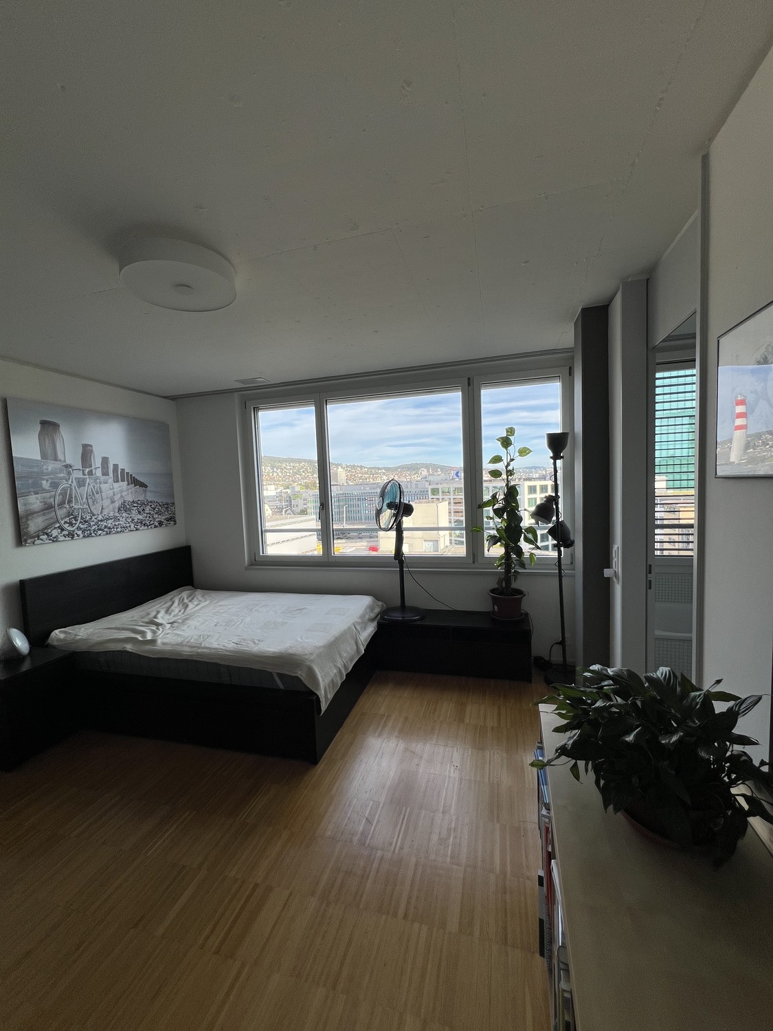 Room in a shared flat