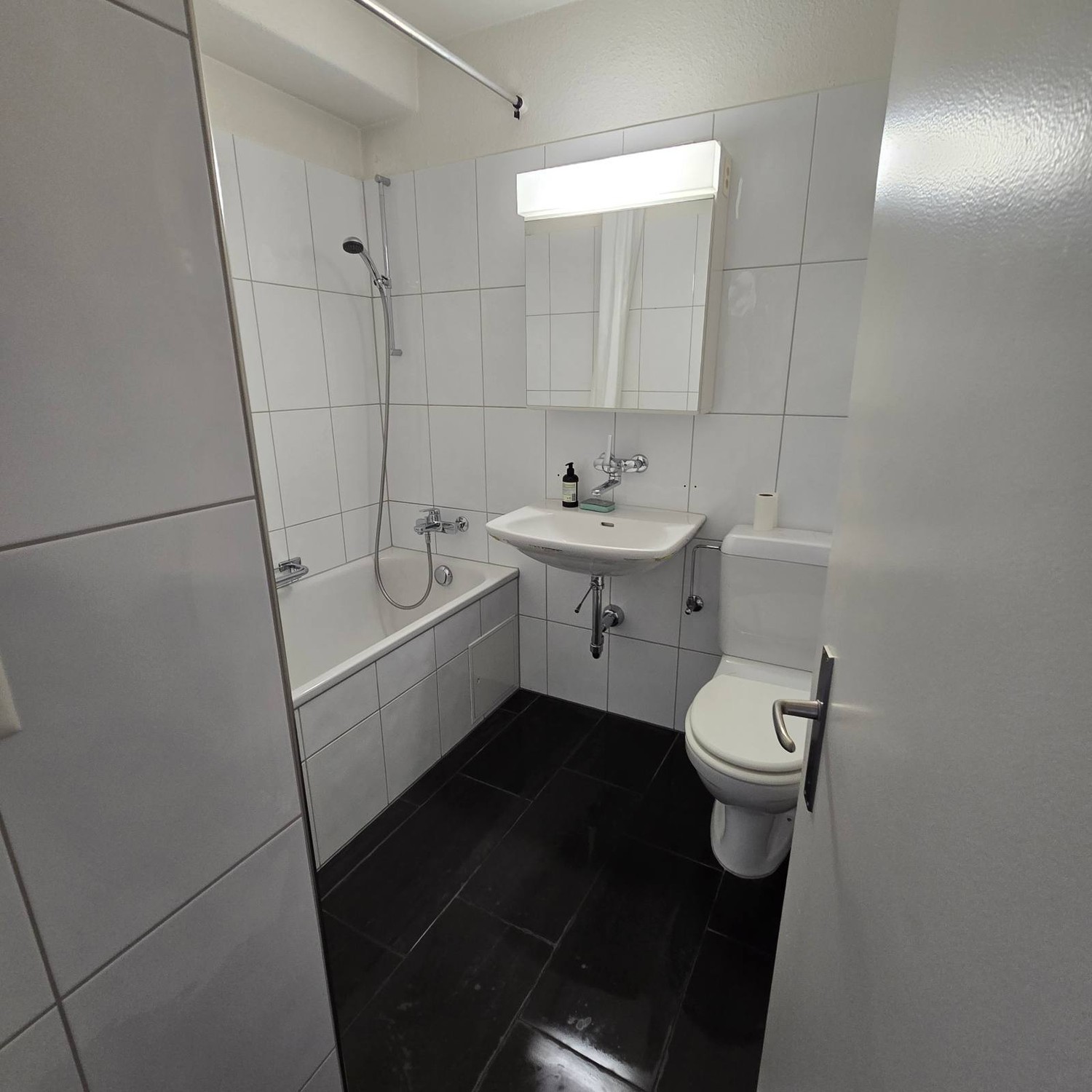 1 room apartment