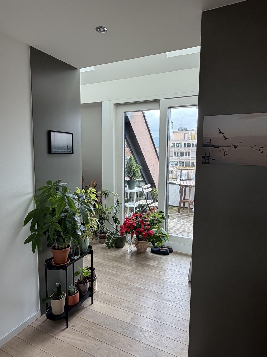 2 ½ rooms apartment