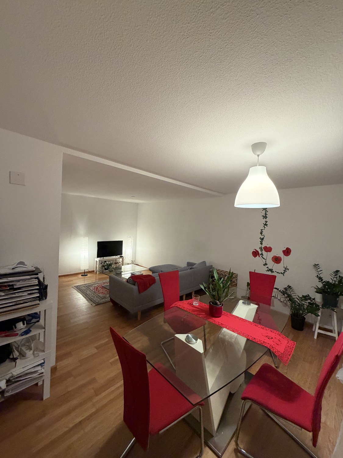 Room in a shared flat