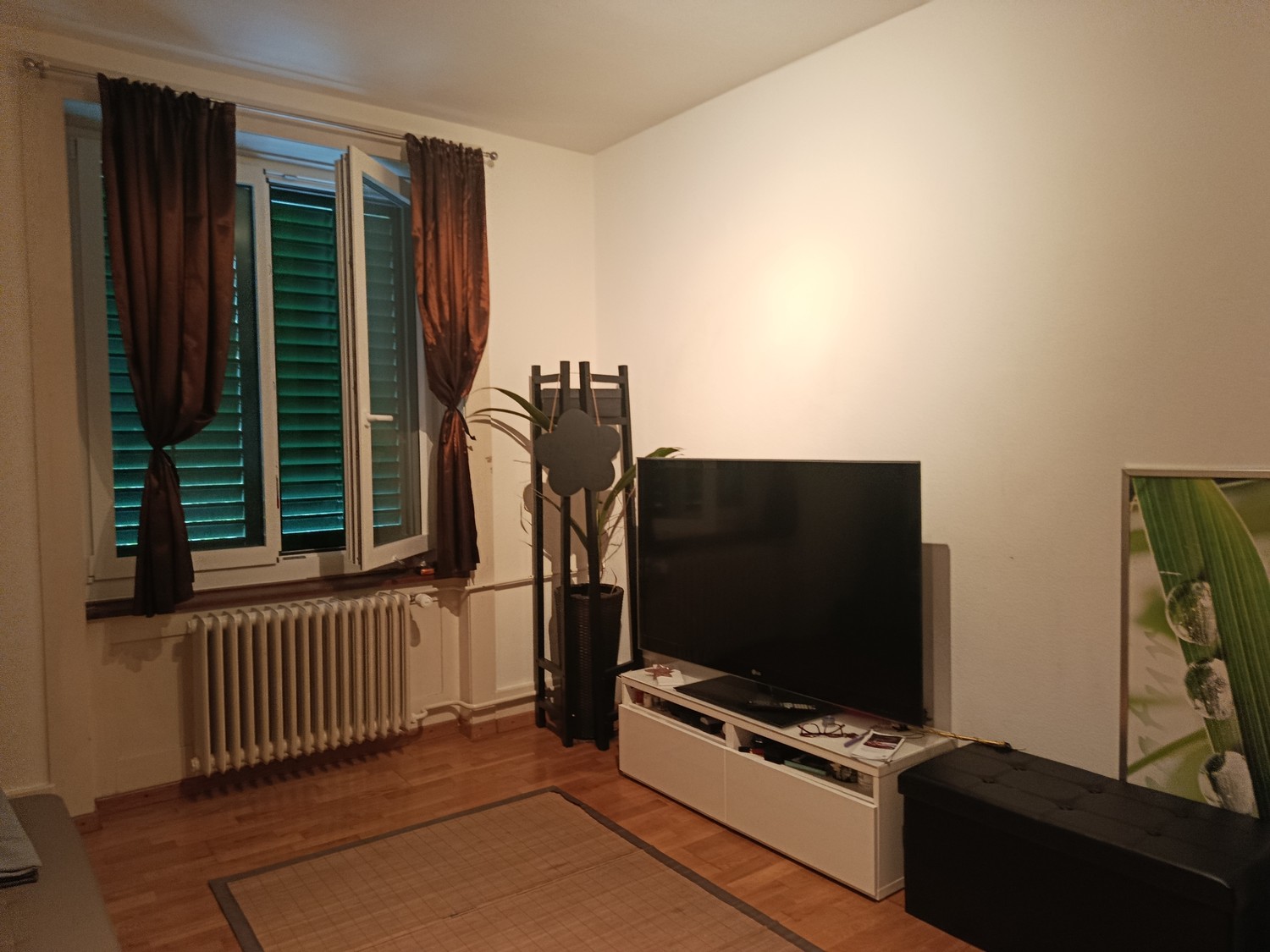 Room in a shared flat