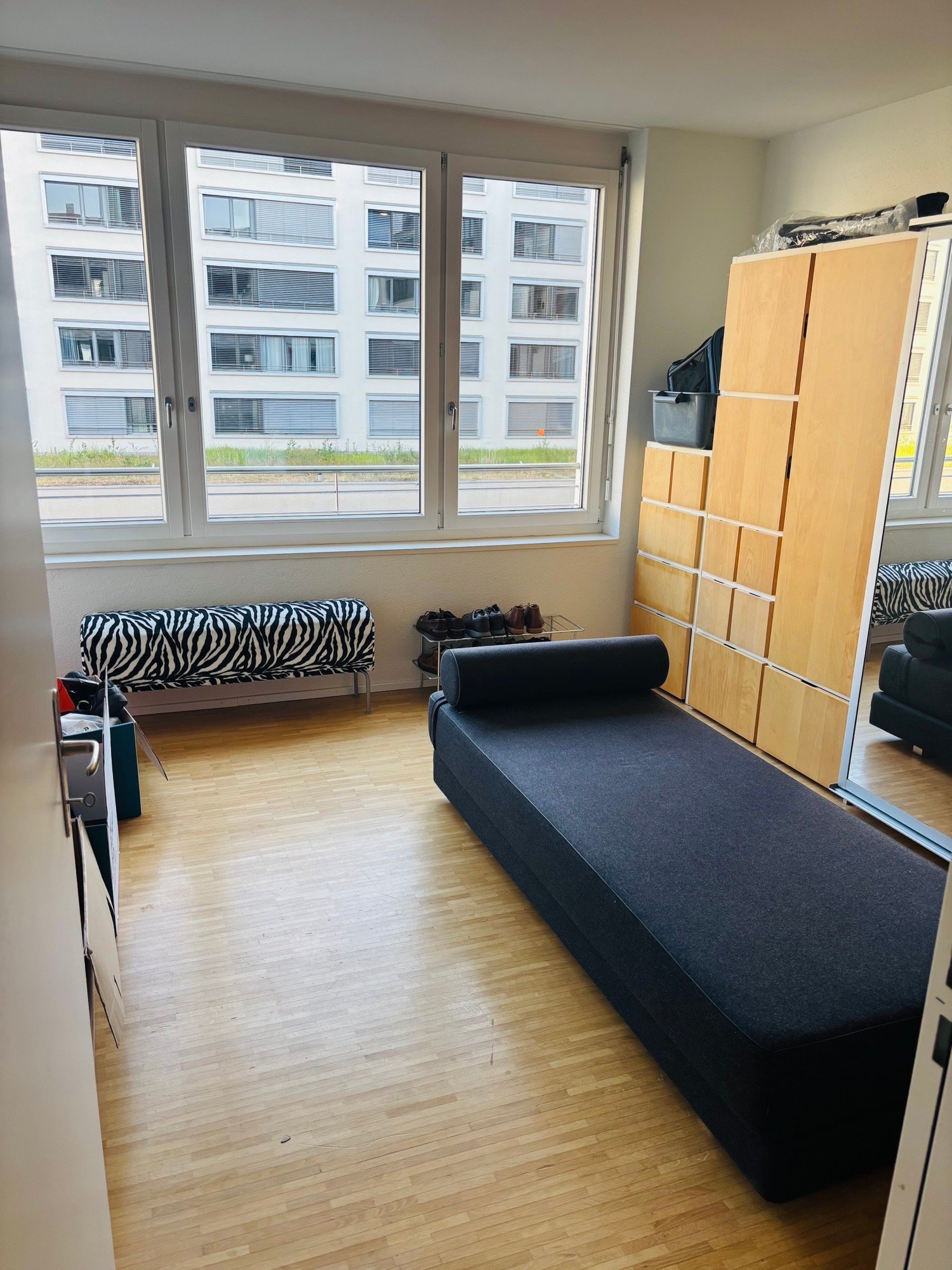 Room in a shared flat