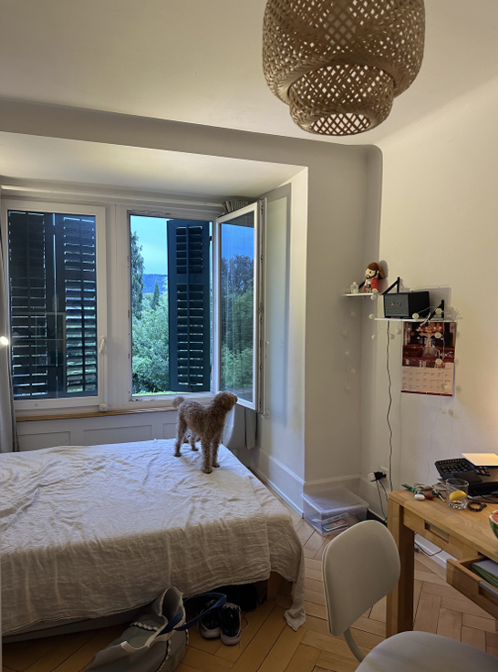 Room in a shared flat, photo 9 of 10