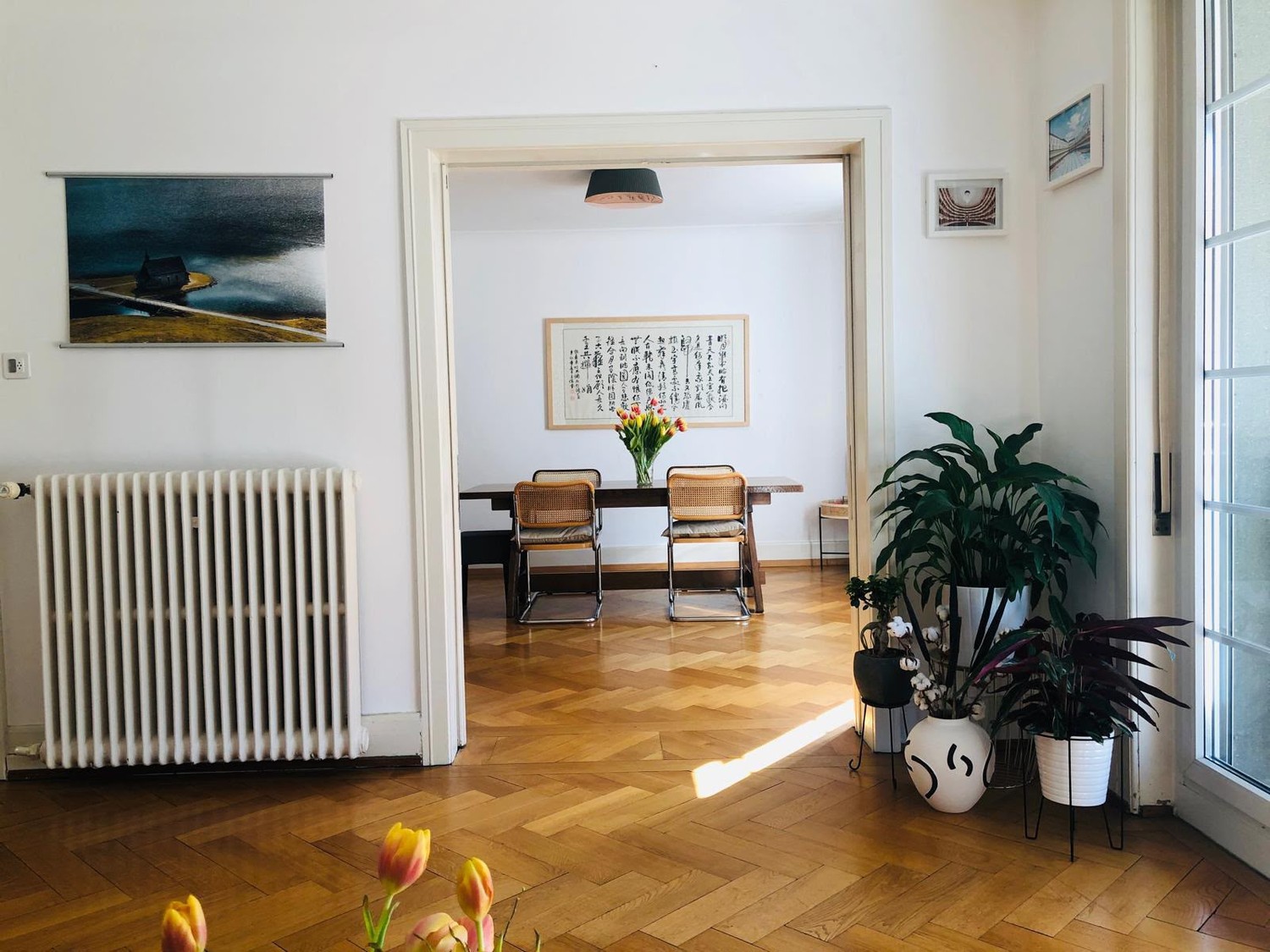 Room in a shared flat