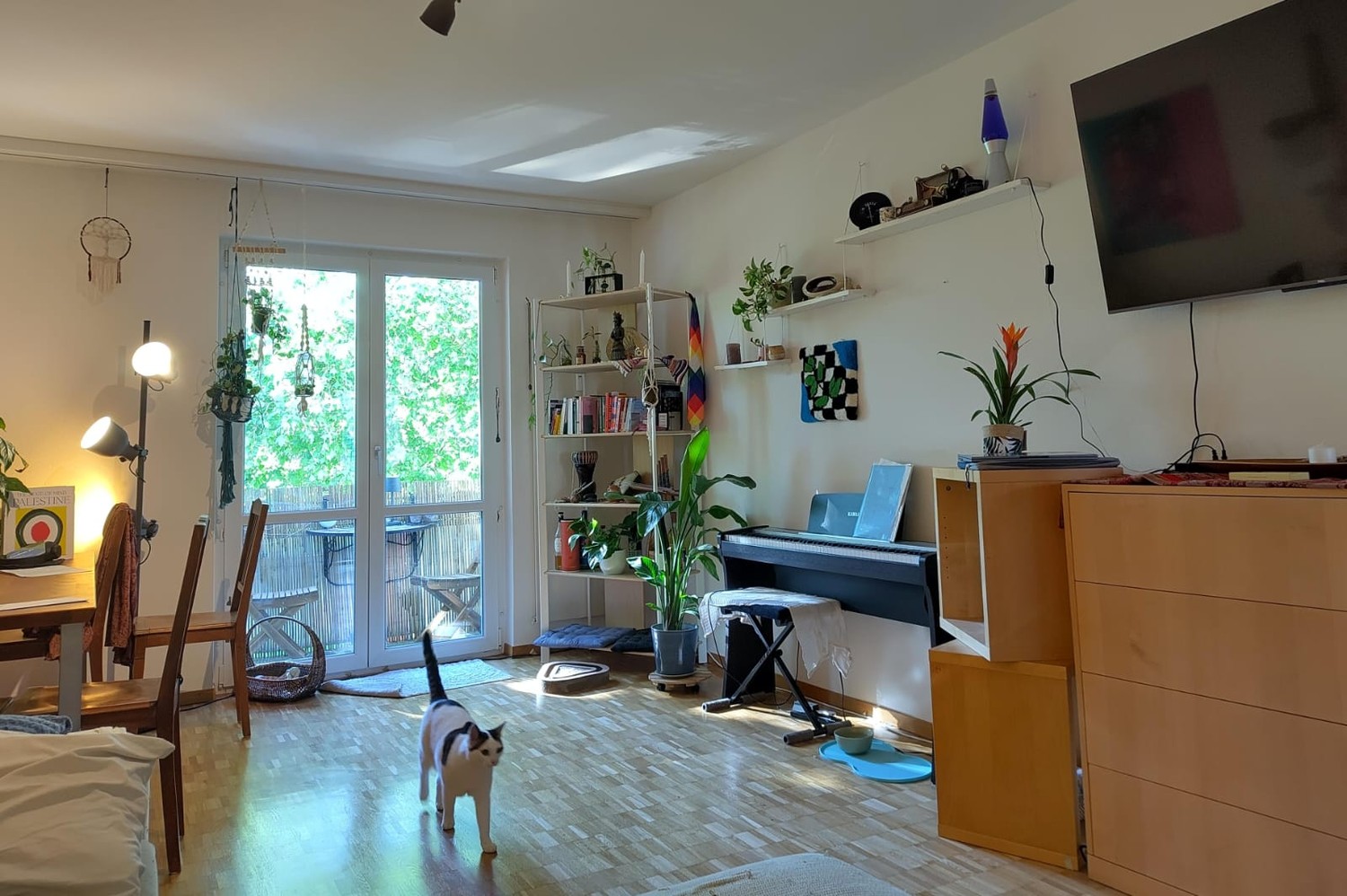 Room in a shared flat