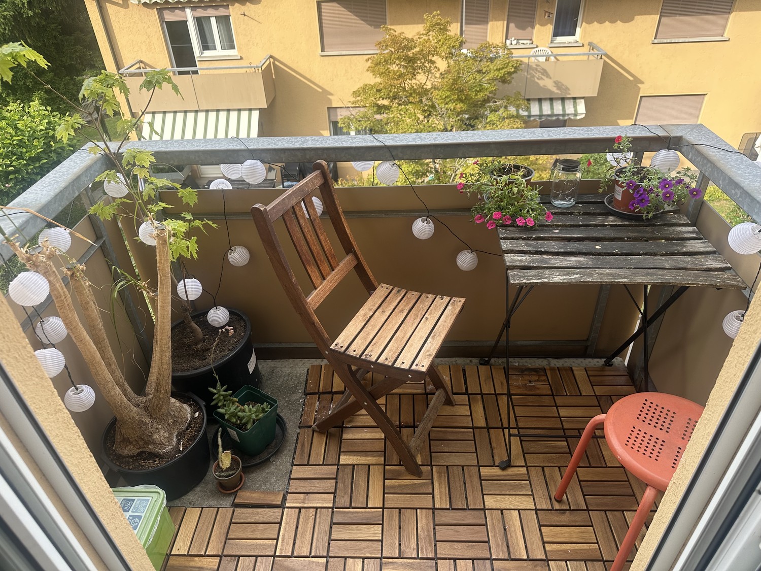 Room in a shared flat