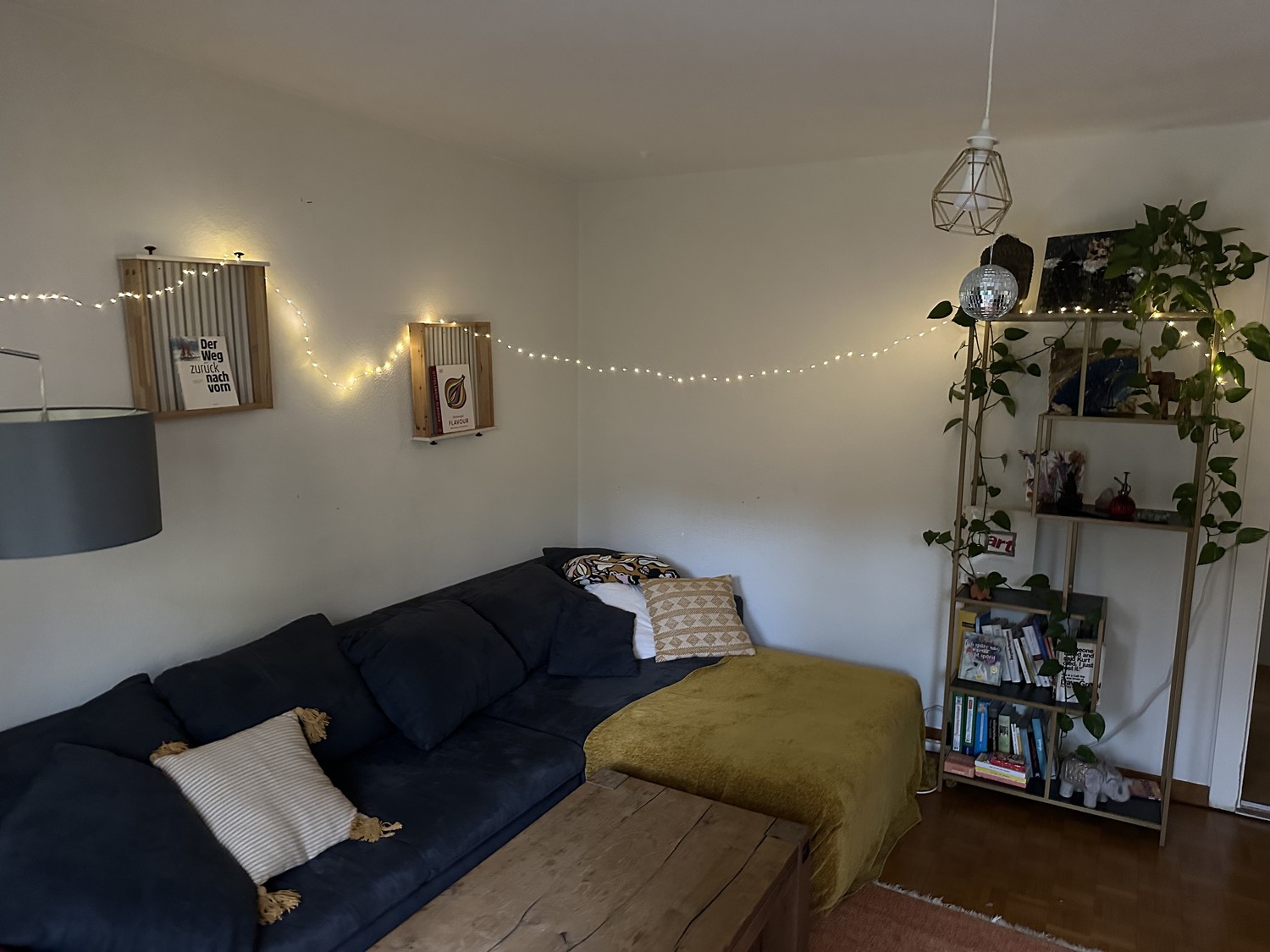 Room in a shared flat
