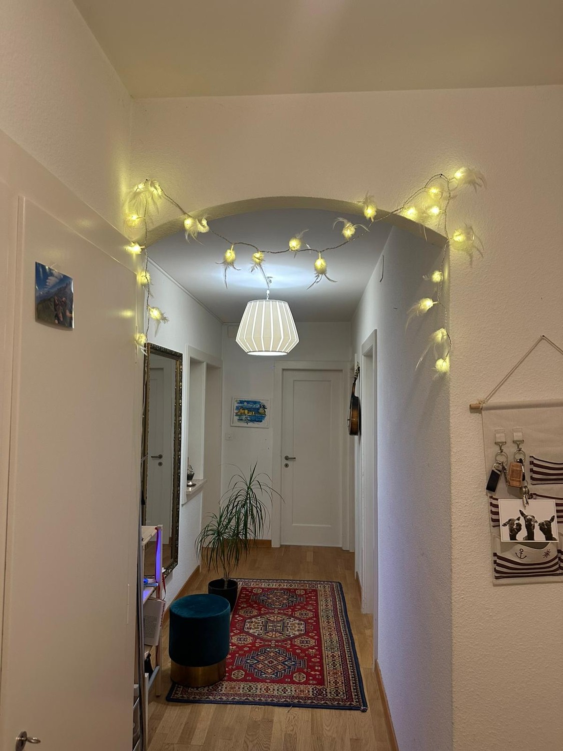 Room in a shared flat