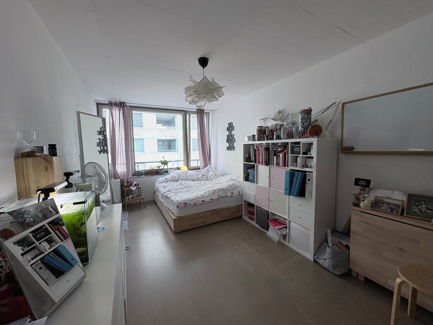 Room in a shared flat