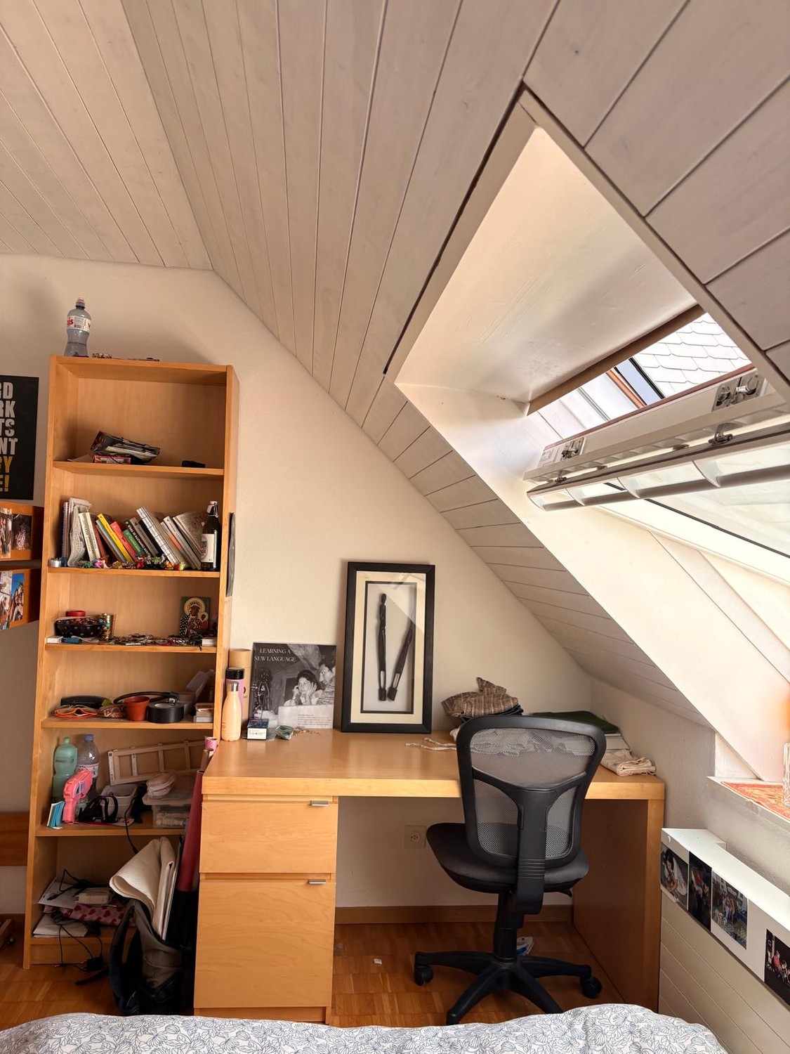 Room in a shared flat