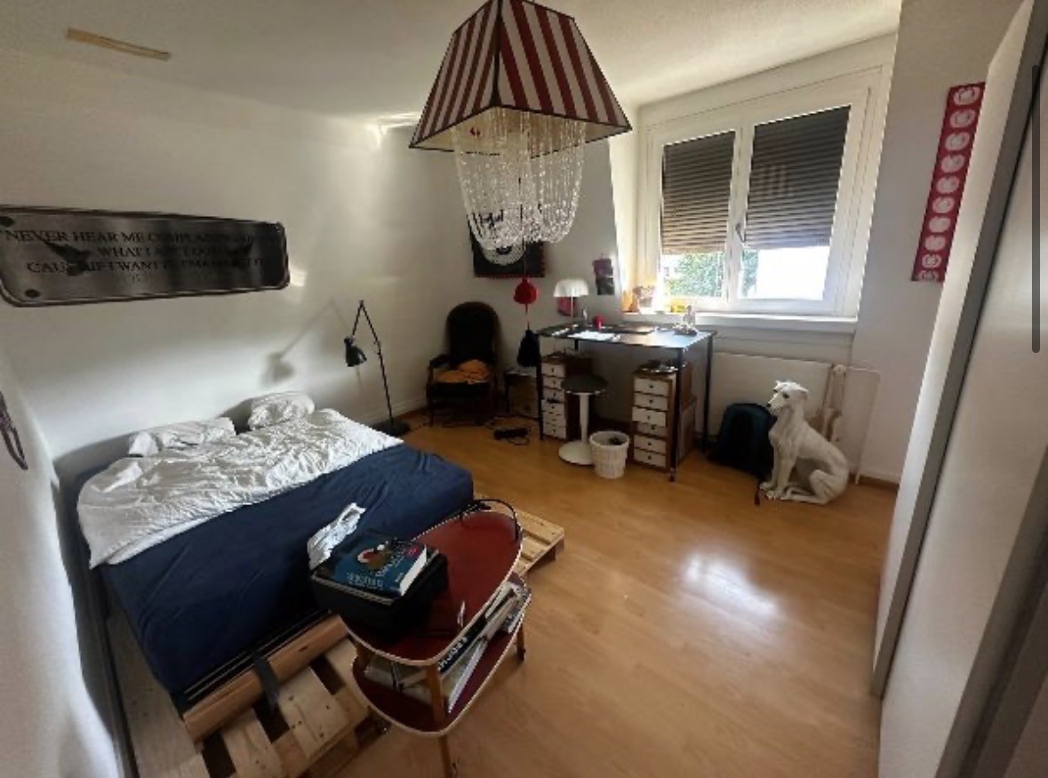 Room in a shared flat