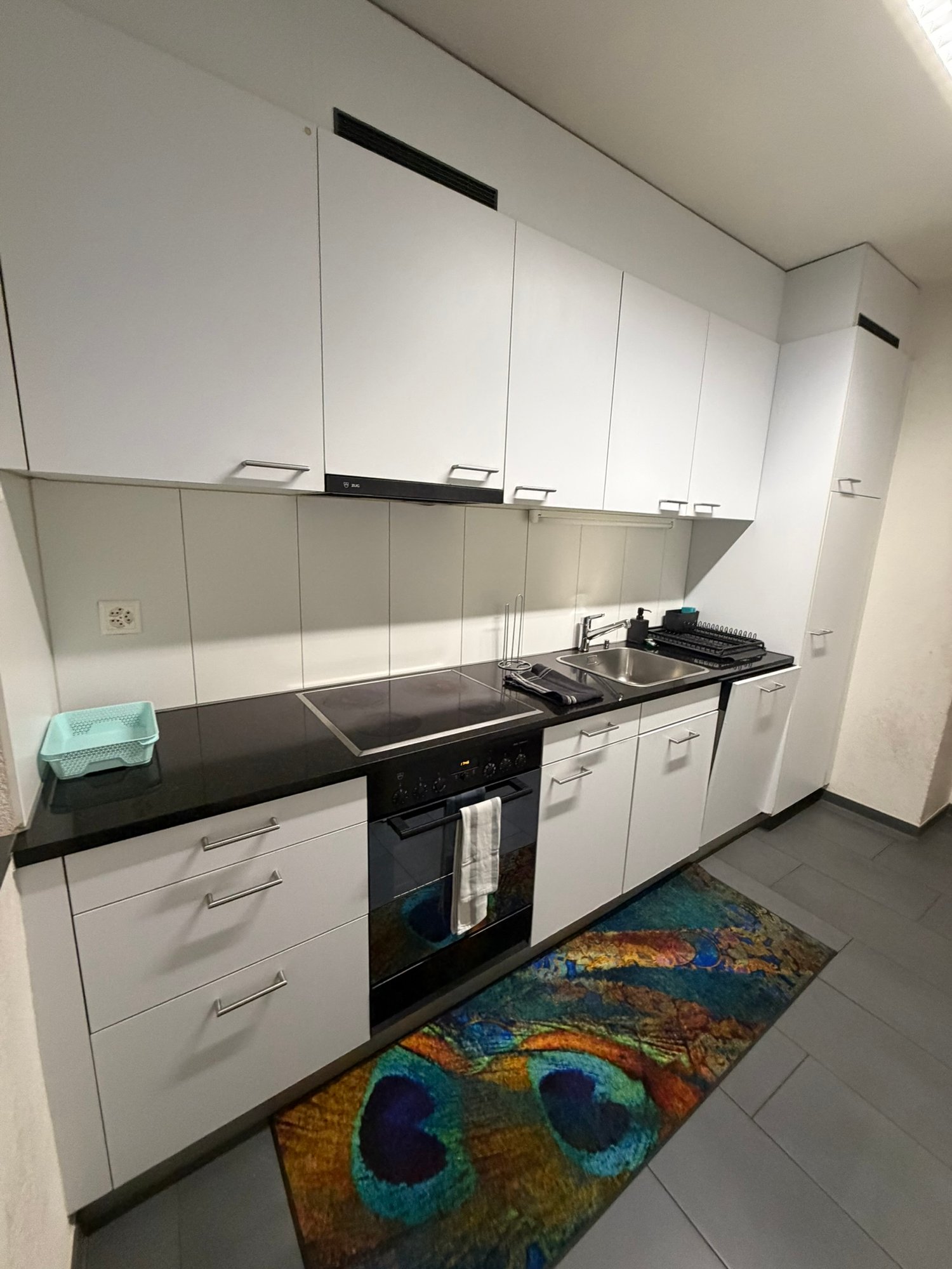 2 ½ rooms furnished flat, photo 8 of 10