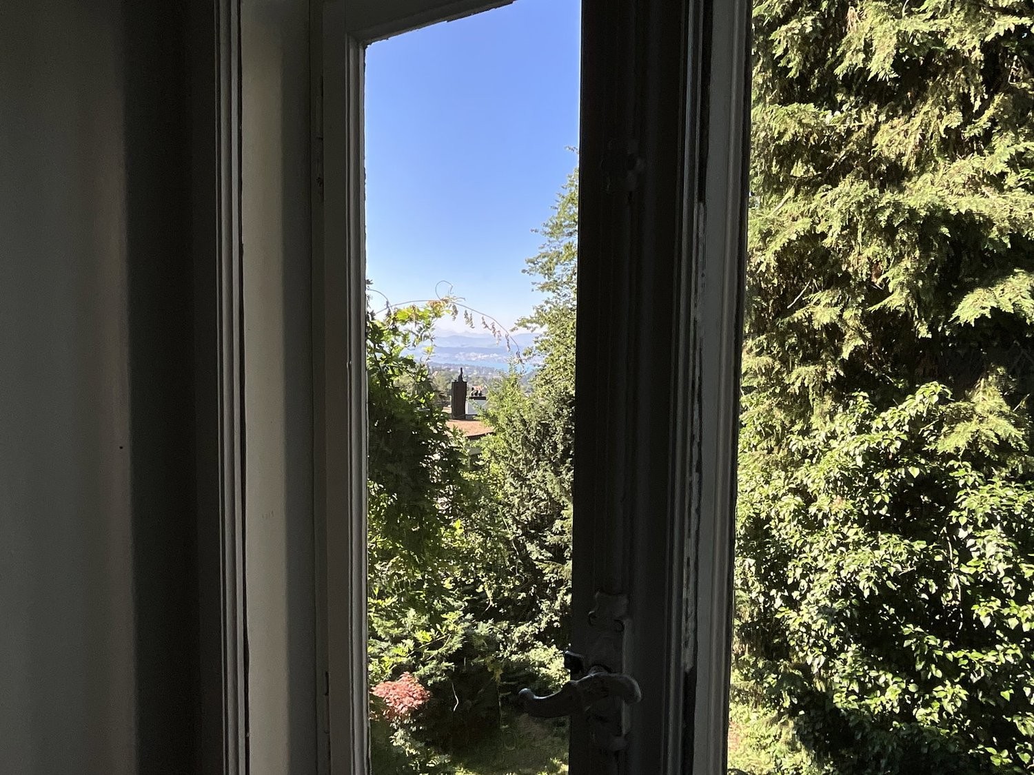 Room in a shared flat