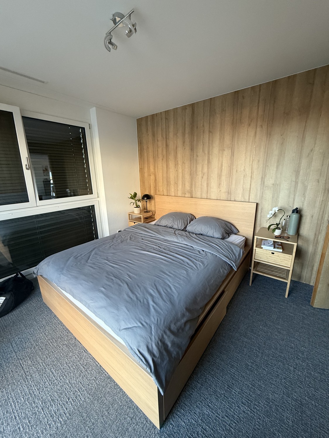 Room in a shared flat