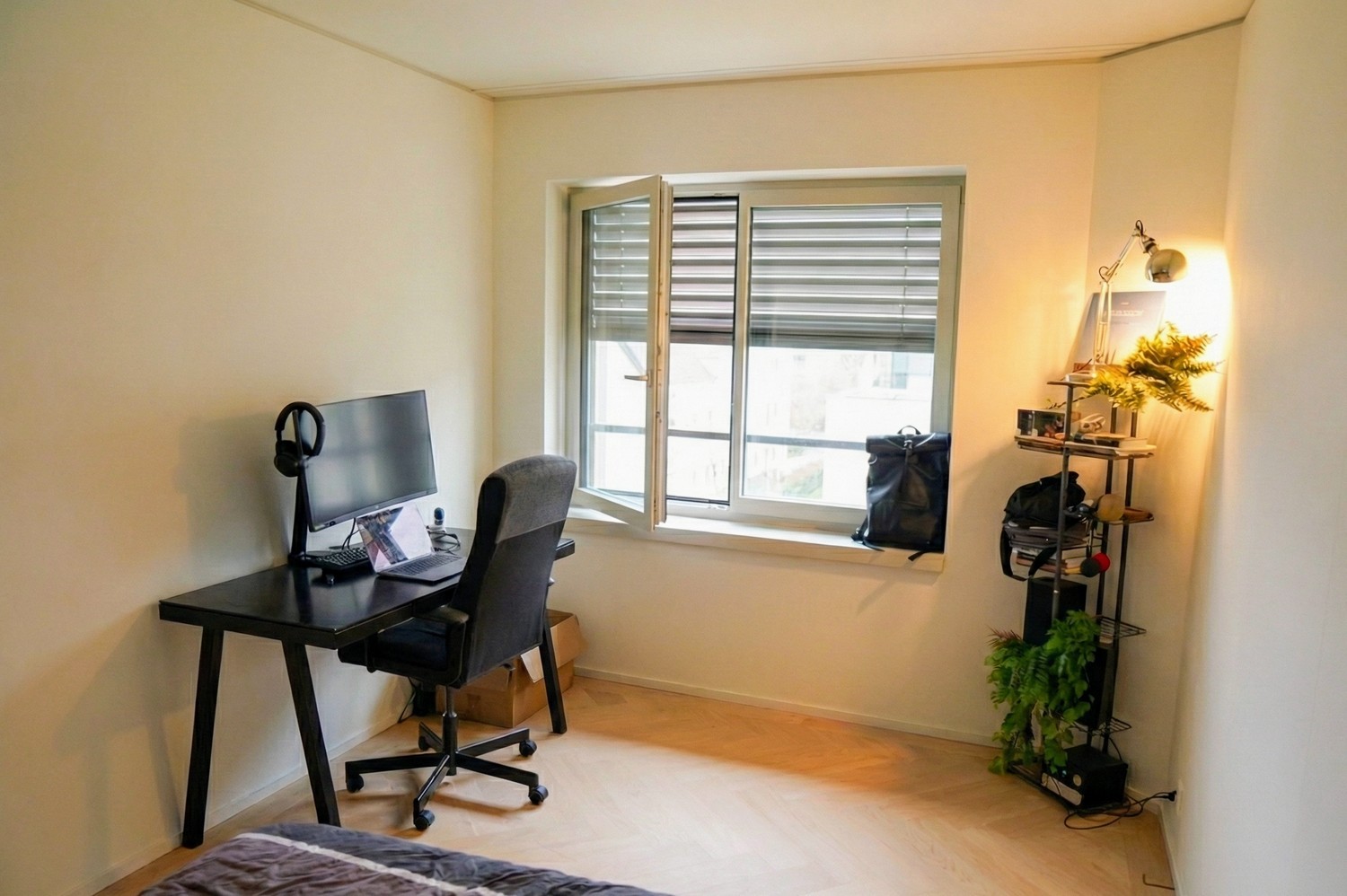 Room in a shared flat
