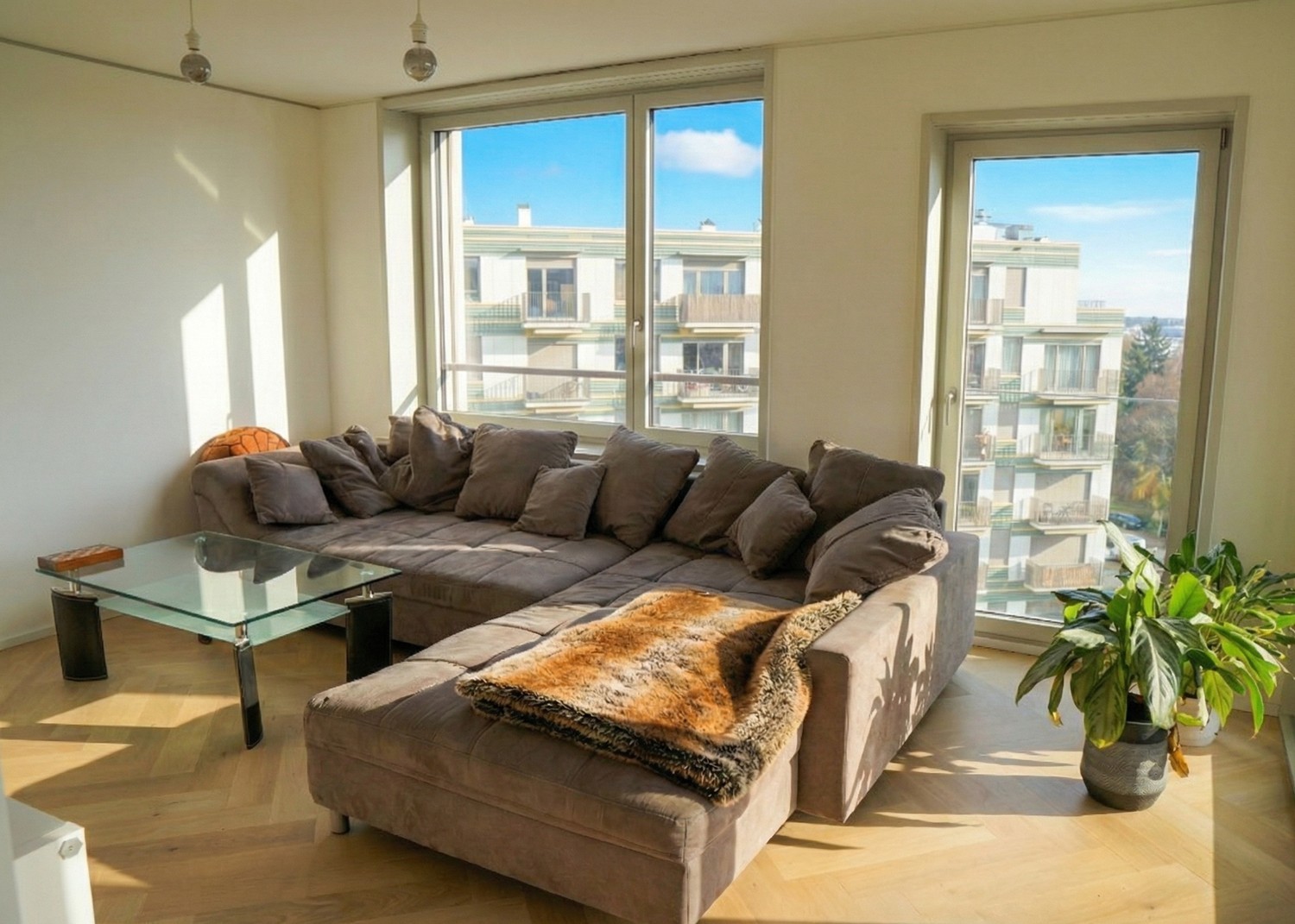 Room in a shared flat