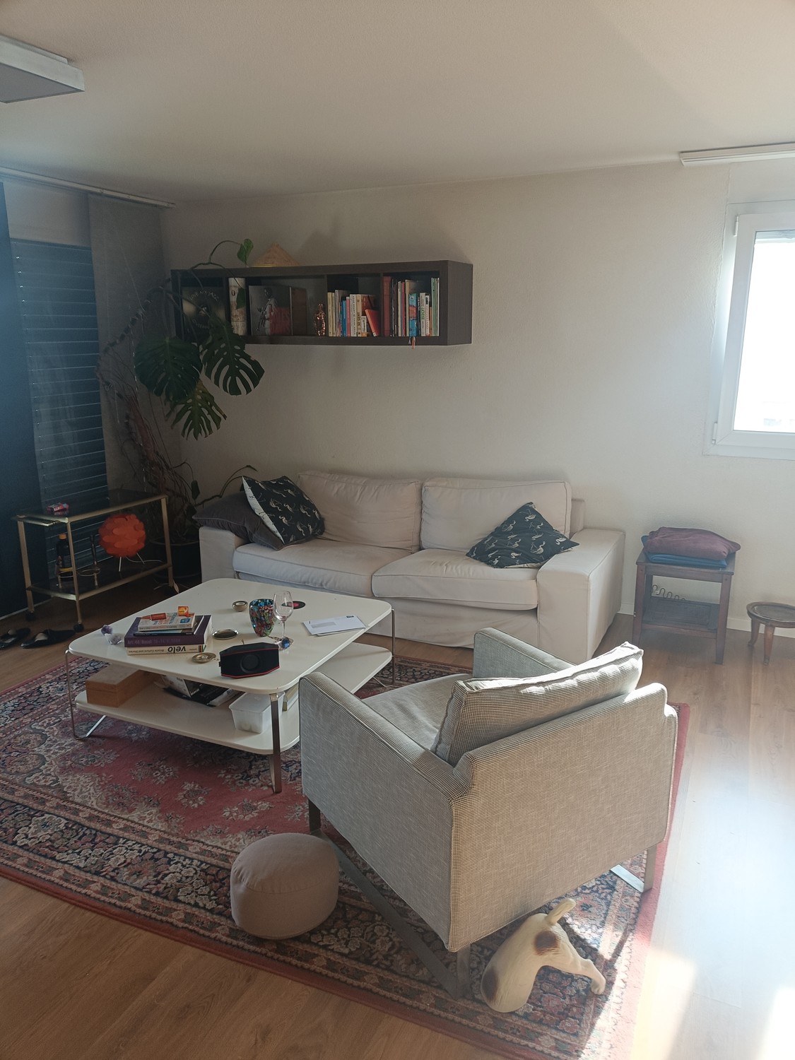 Room in a shared flat