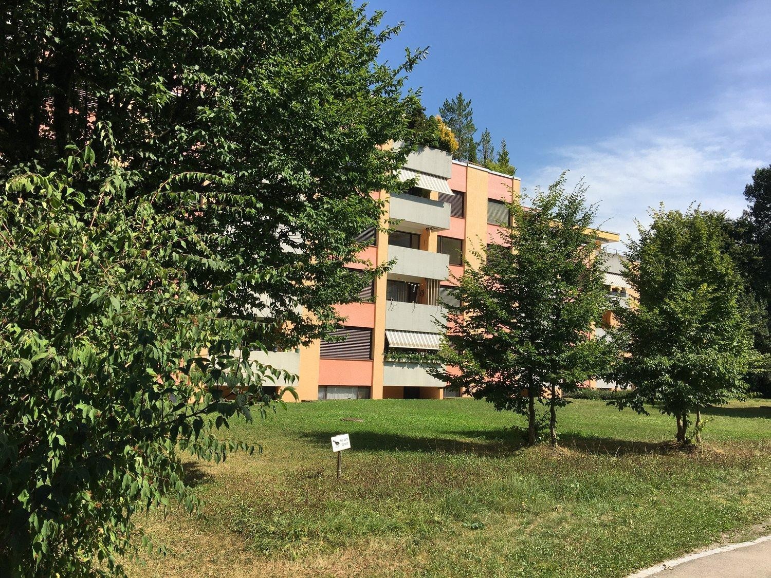 4 ½ Zimmer-Wohnung