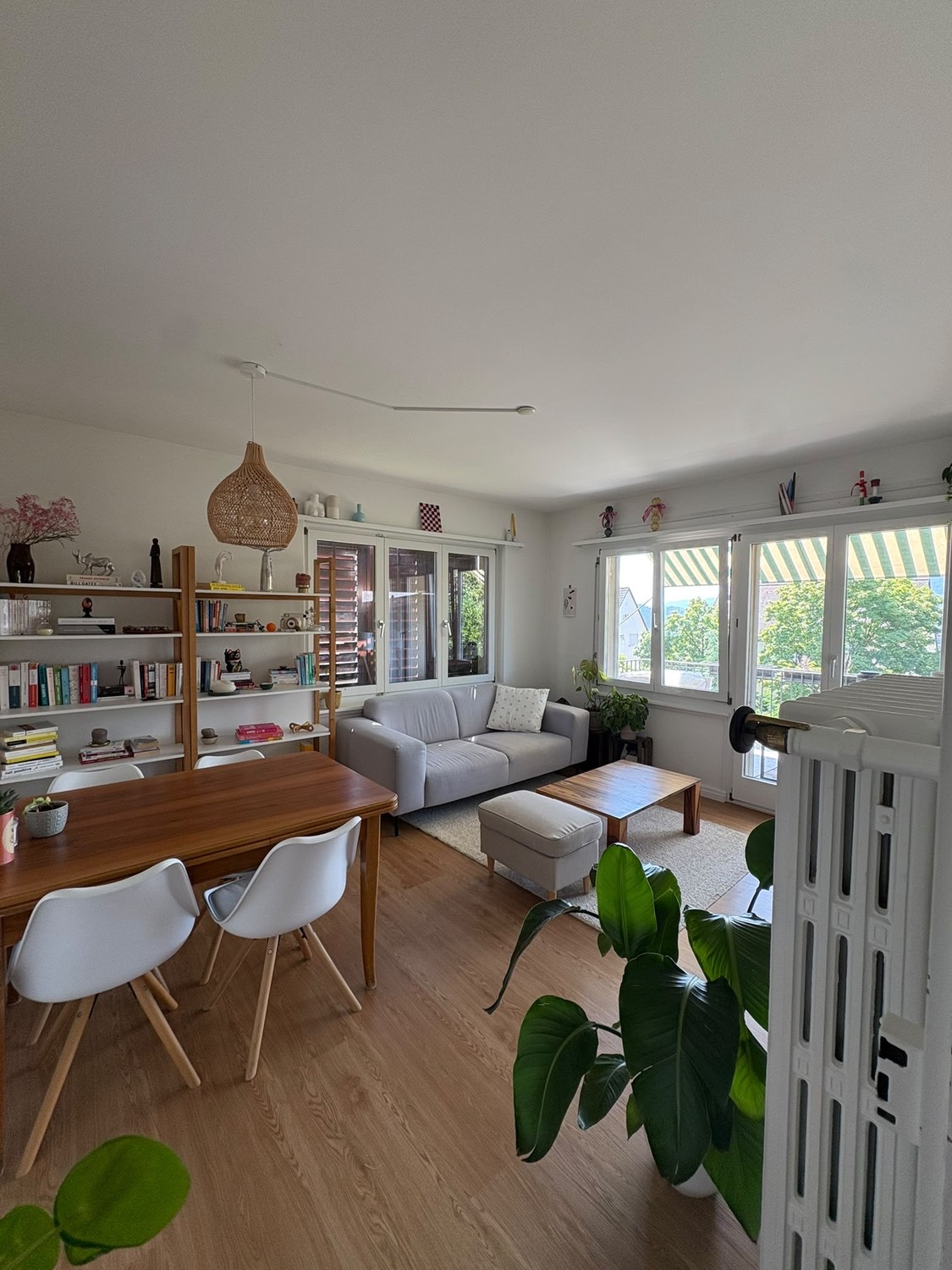 Room in a shared flat