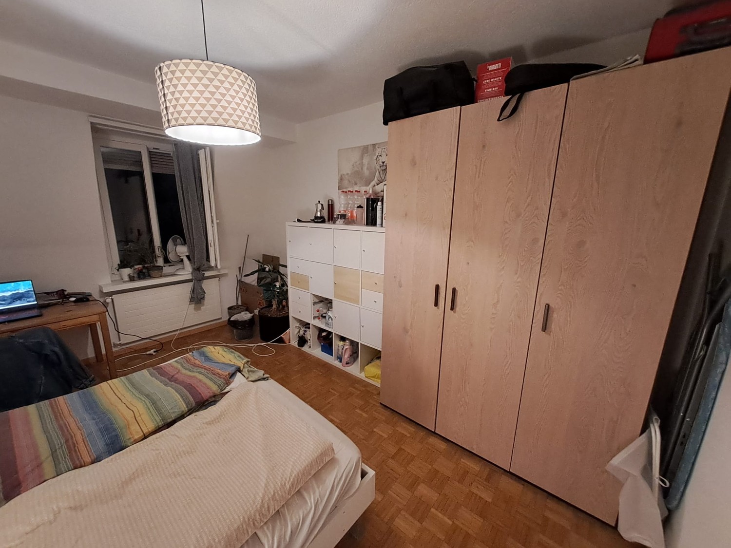 Room in a shared flat