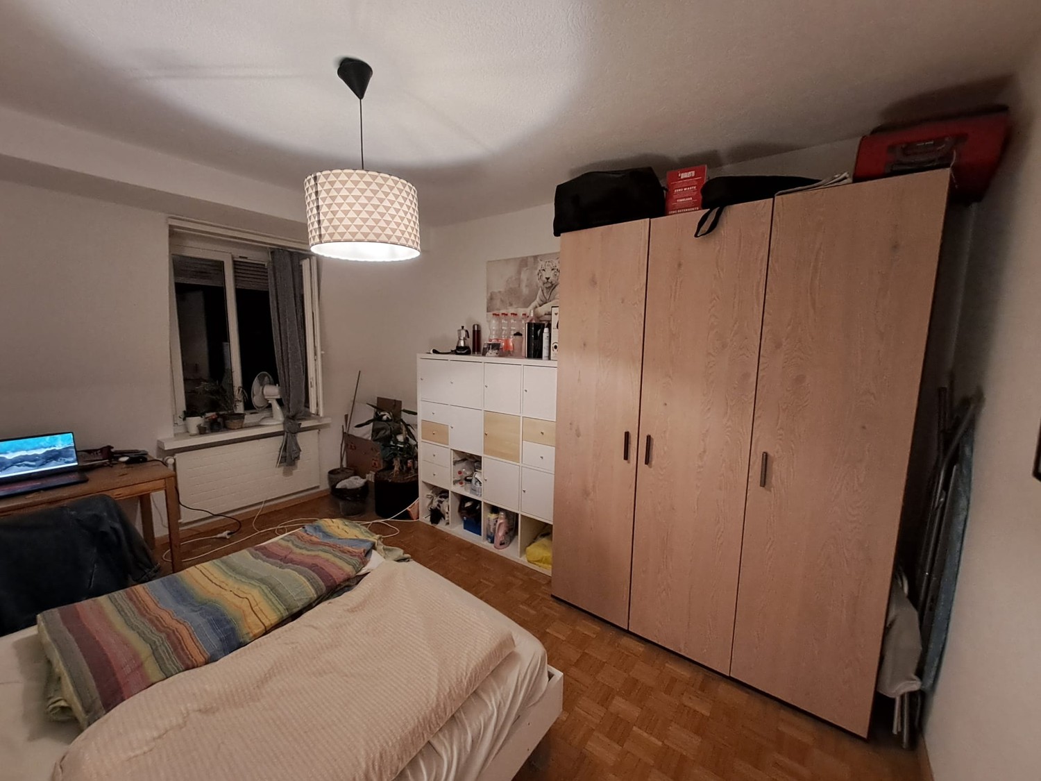 Room in a shared flat