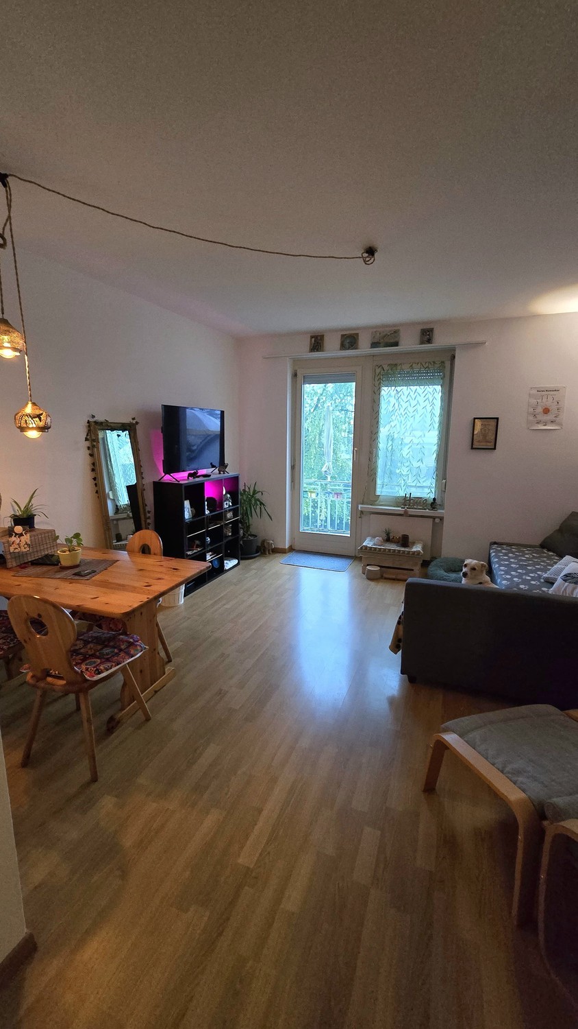Room in a shared flat