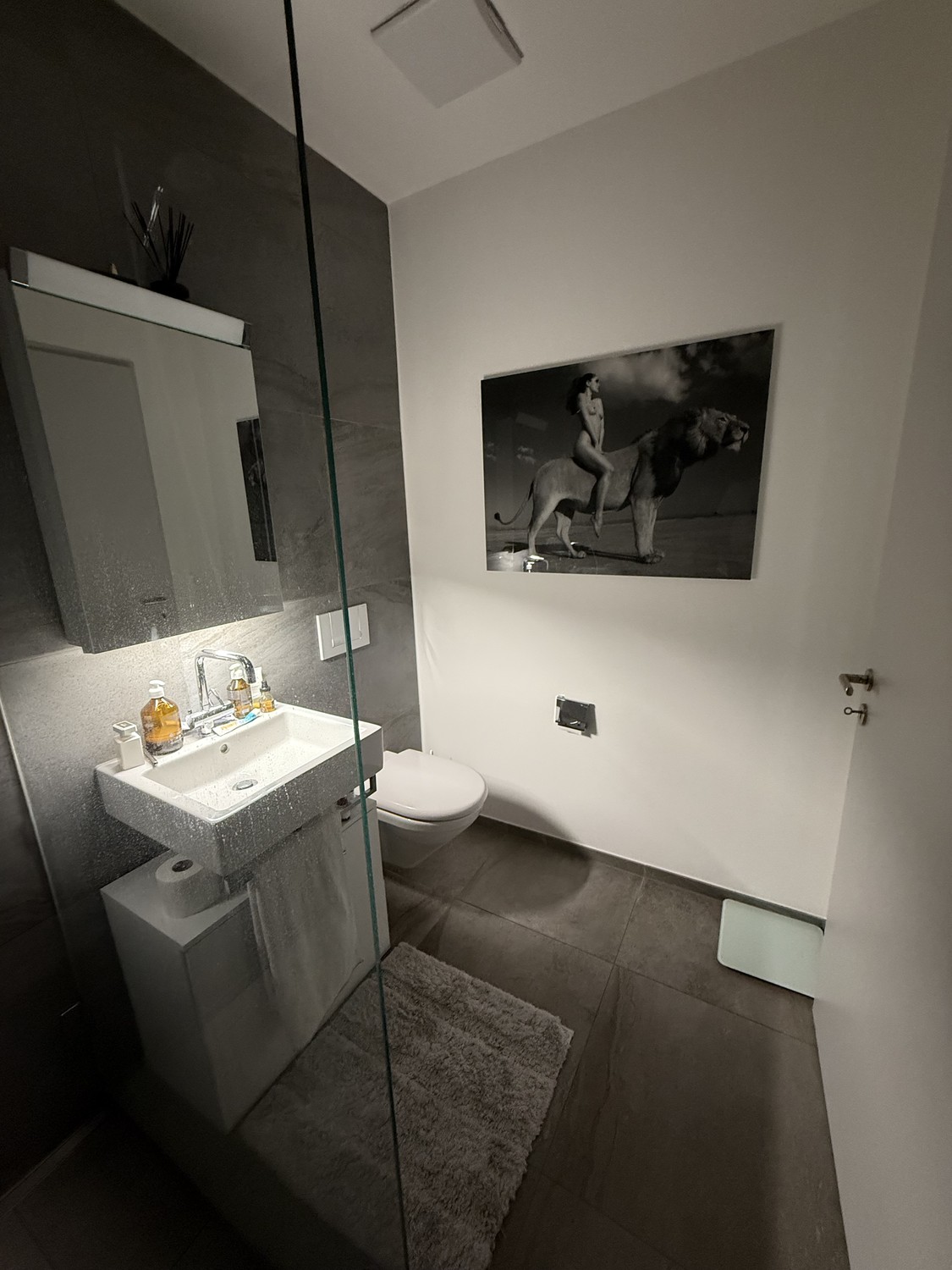 2 ½ rooms apartment