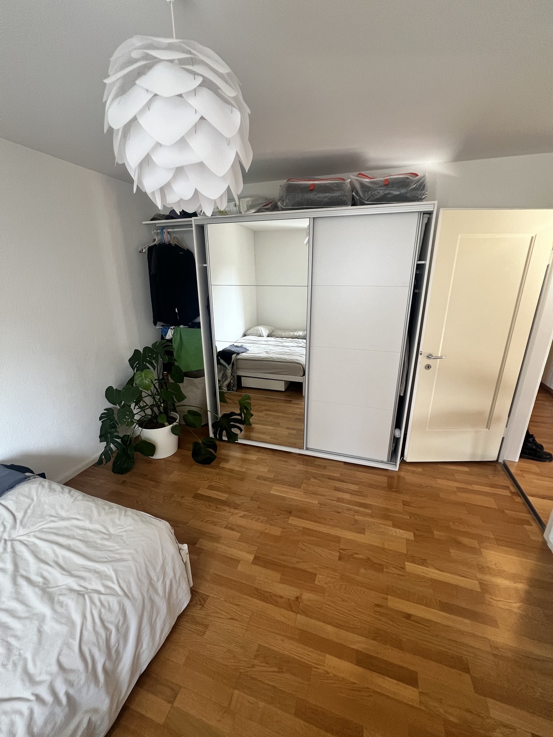Room in a shared flat