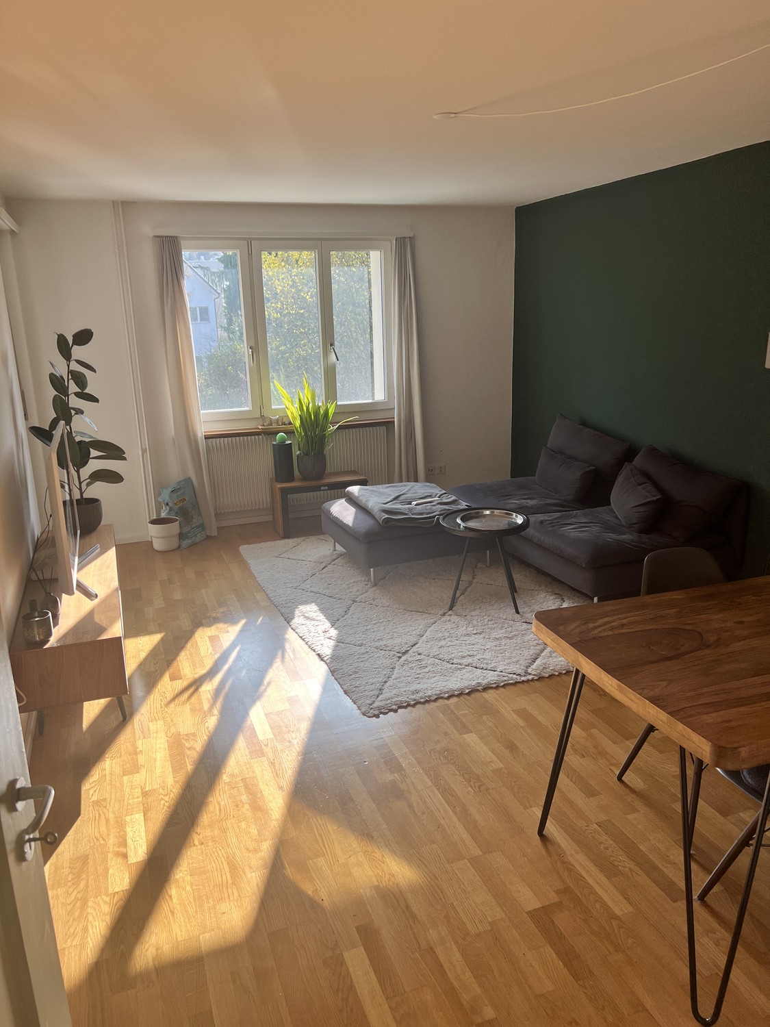 Room in a shared flat
