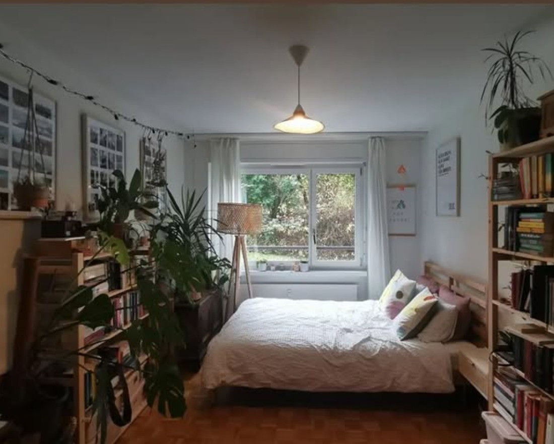 Room in a shared flat
