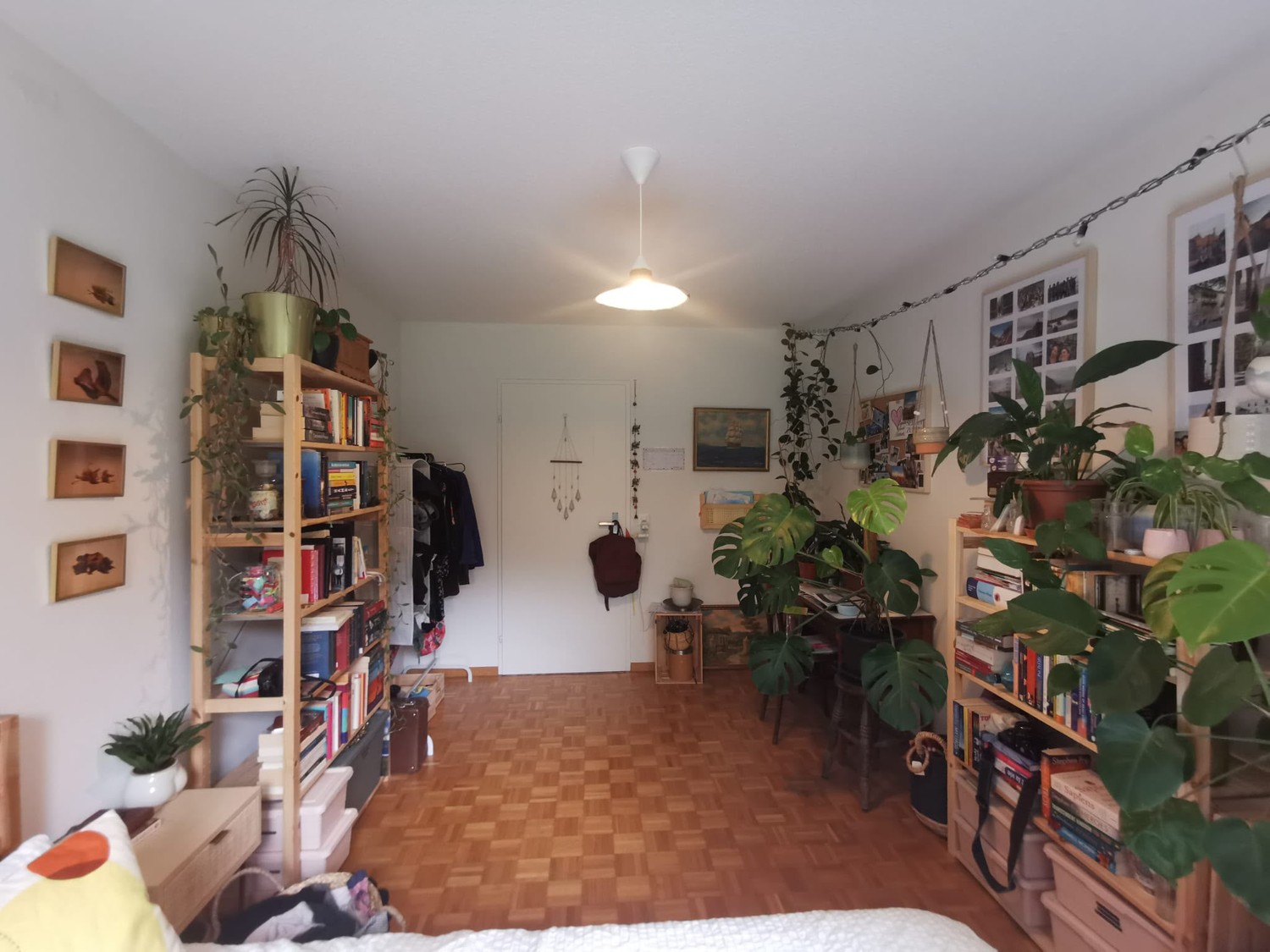Room in a shared flat
