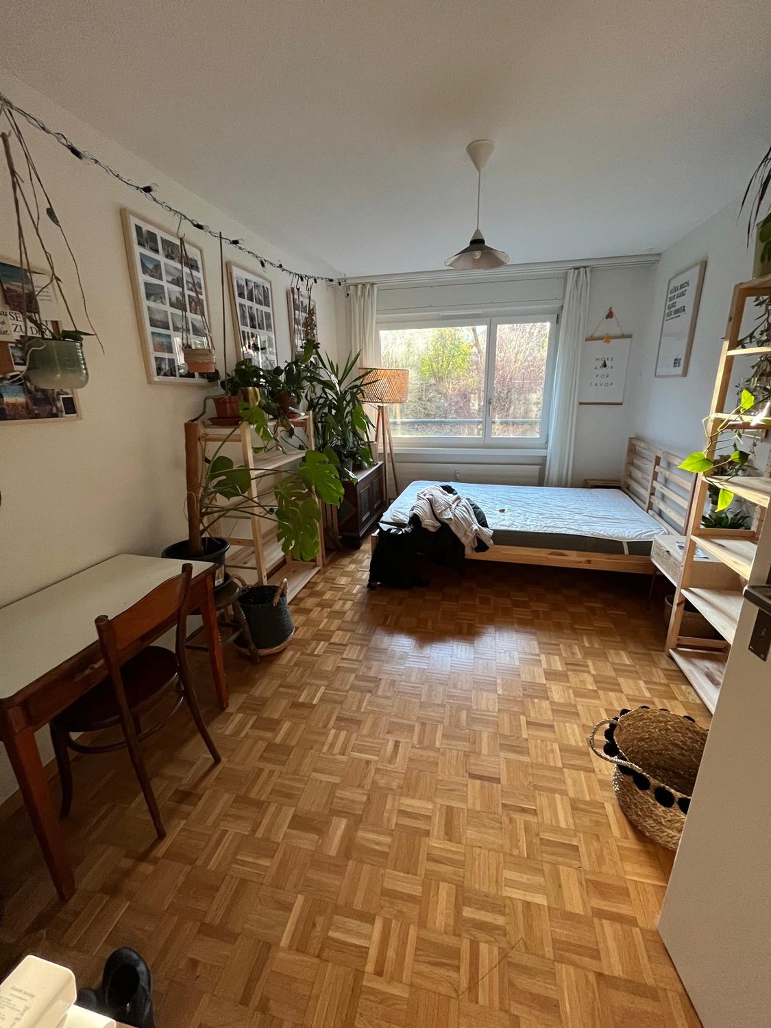 Room in a shared flat