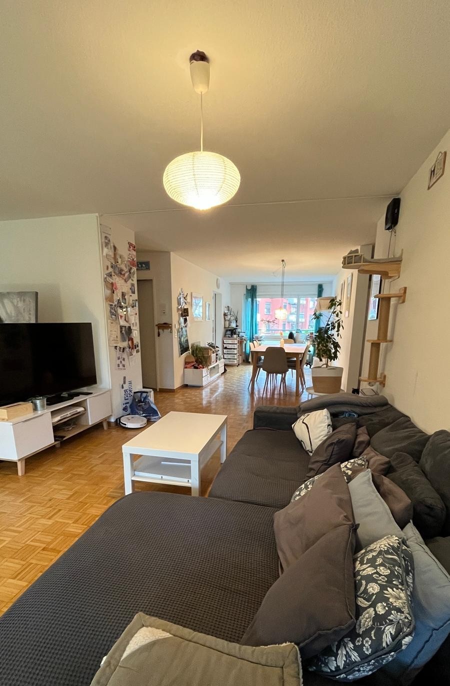 Room in a shared flat