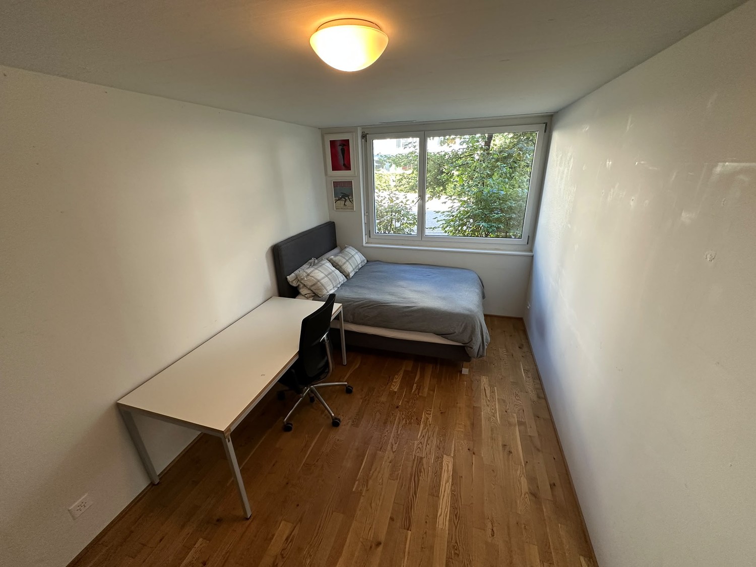 Room in a shared flat