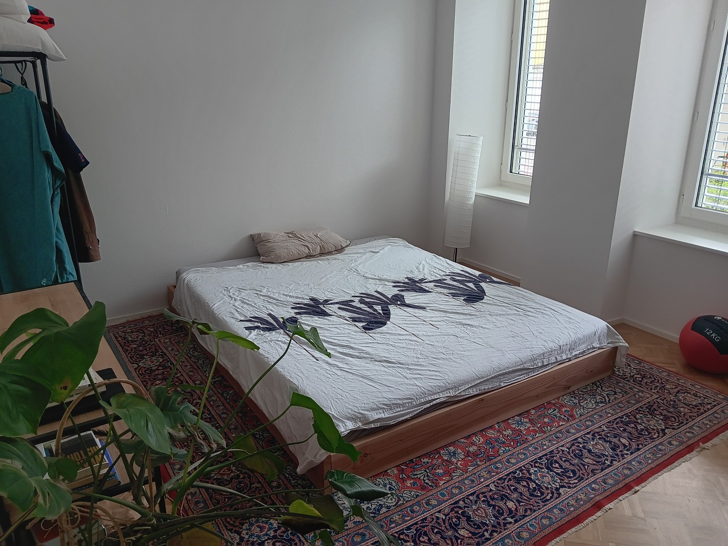 Room in a shared flat