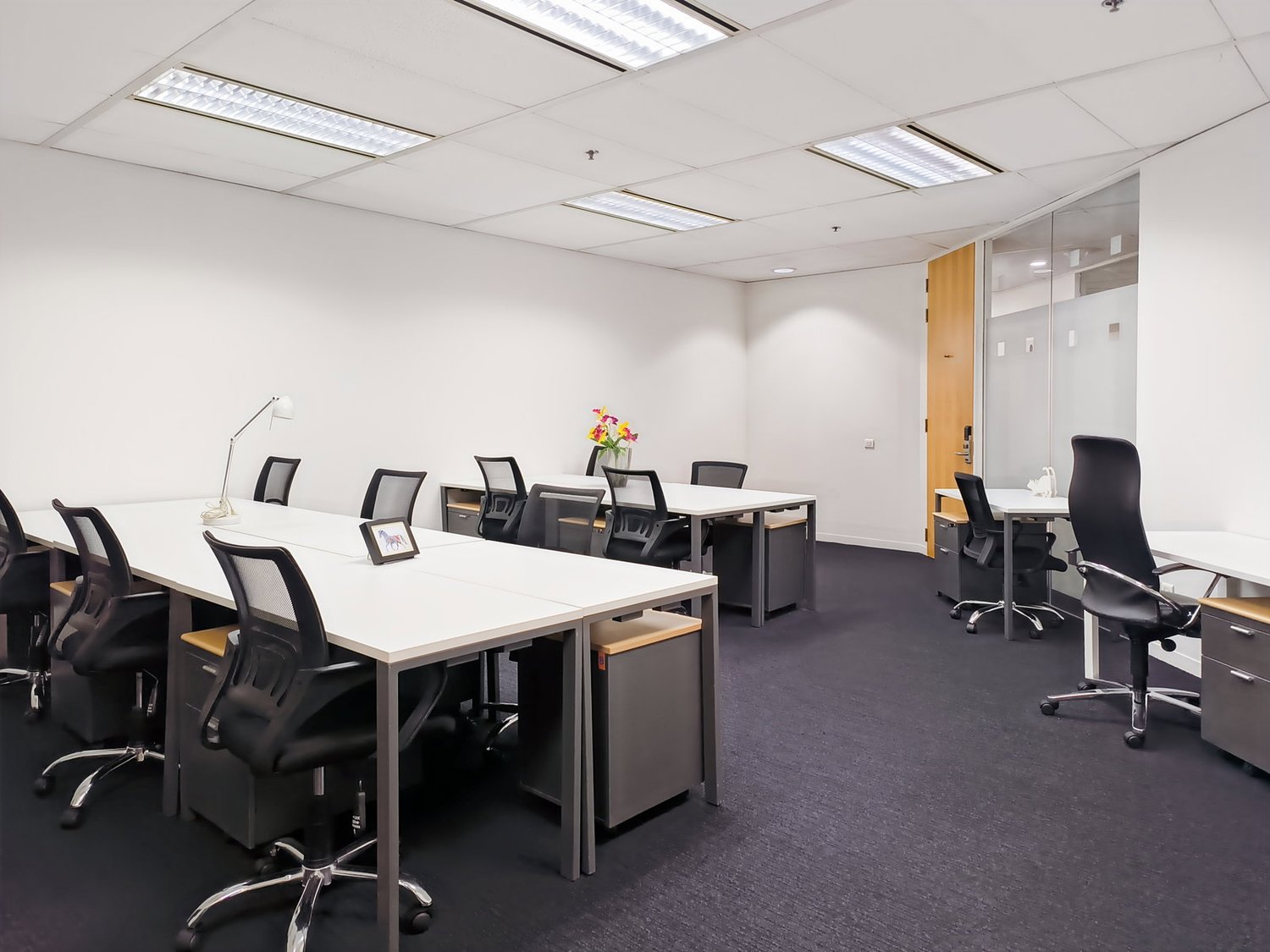 225m² office